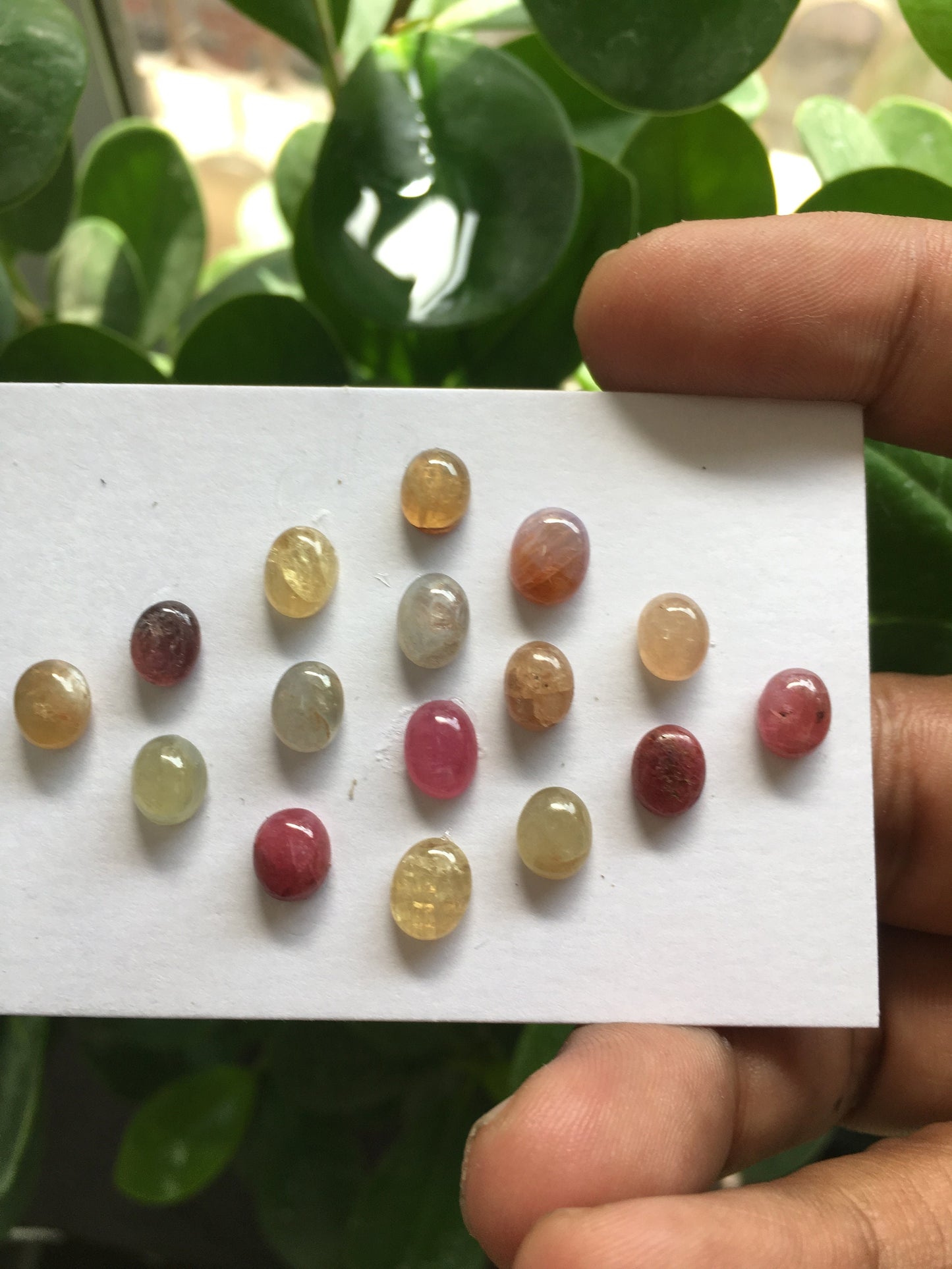 Multi  Sapphire Cabochons Natural umba sapphire Unheated Untreated Sapphire  weight 31.15 carats pcs 16 Size 7x5mm to 8x6mm fine quality