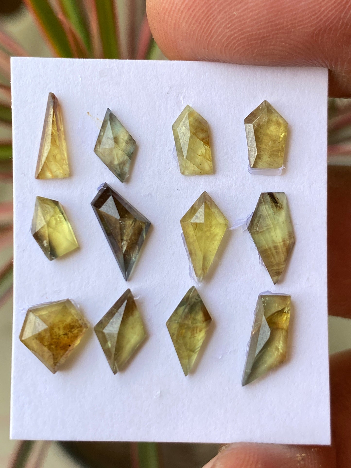 Mesmerising very rare Tanzania mines small yellow sapphire Bicolor geometric wt  carats pcs 12 size 5.5x4mm-9x7mm sapphire stepcut