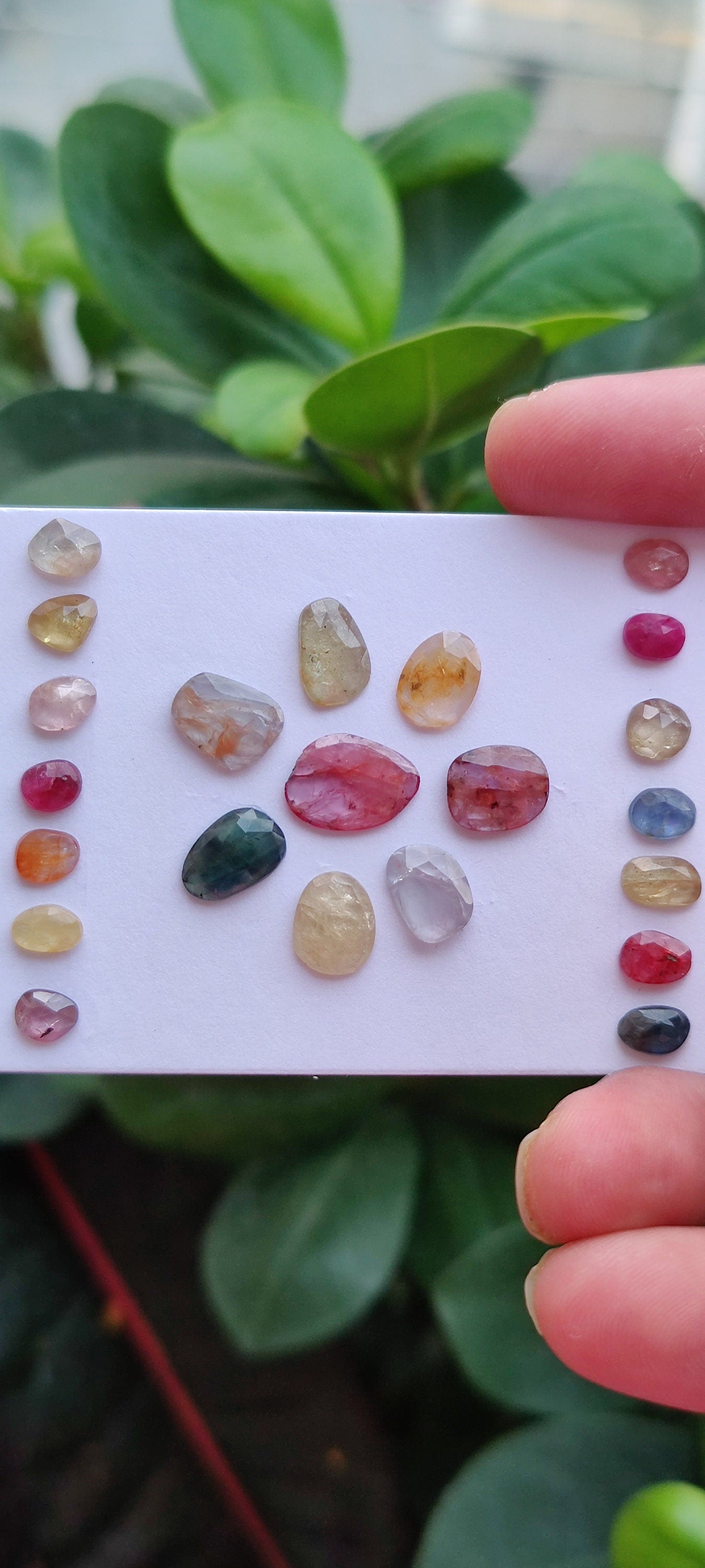 Vibrant rare unheated multi sapphire rosecut lot weight 28 pcs 22 Size 6.3x4.6mm-12.8x9.6mm amazing colors natural sapphires