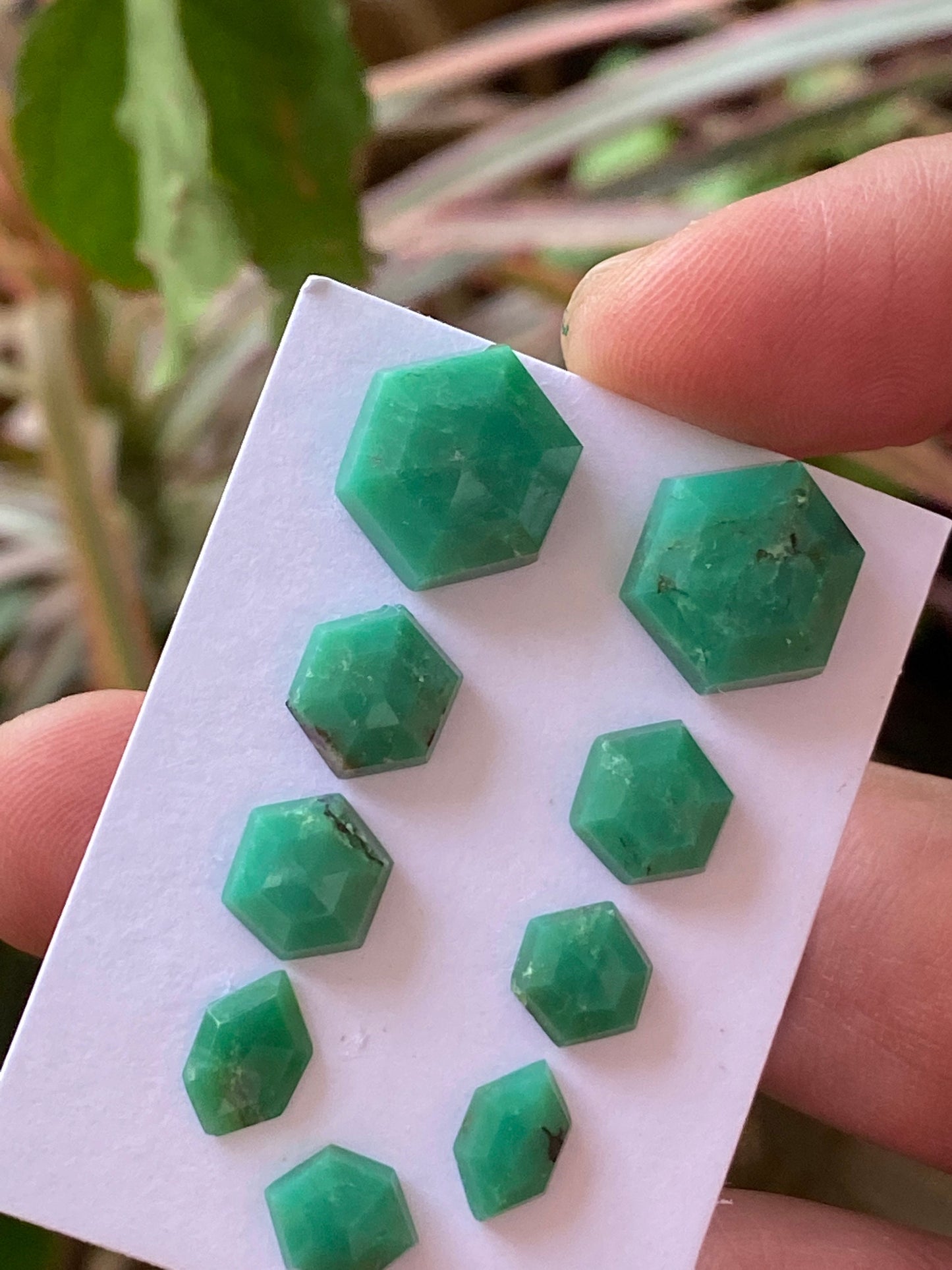 Dazzling chrysoprase hexagon stepcut wholesale lot Pcs 9 weight 30 carats size 9x7.1mm-15x12.8mm chrysoprase stepcut