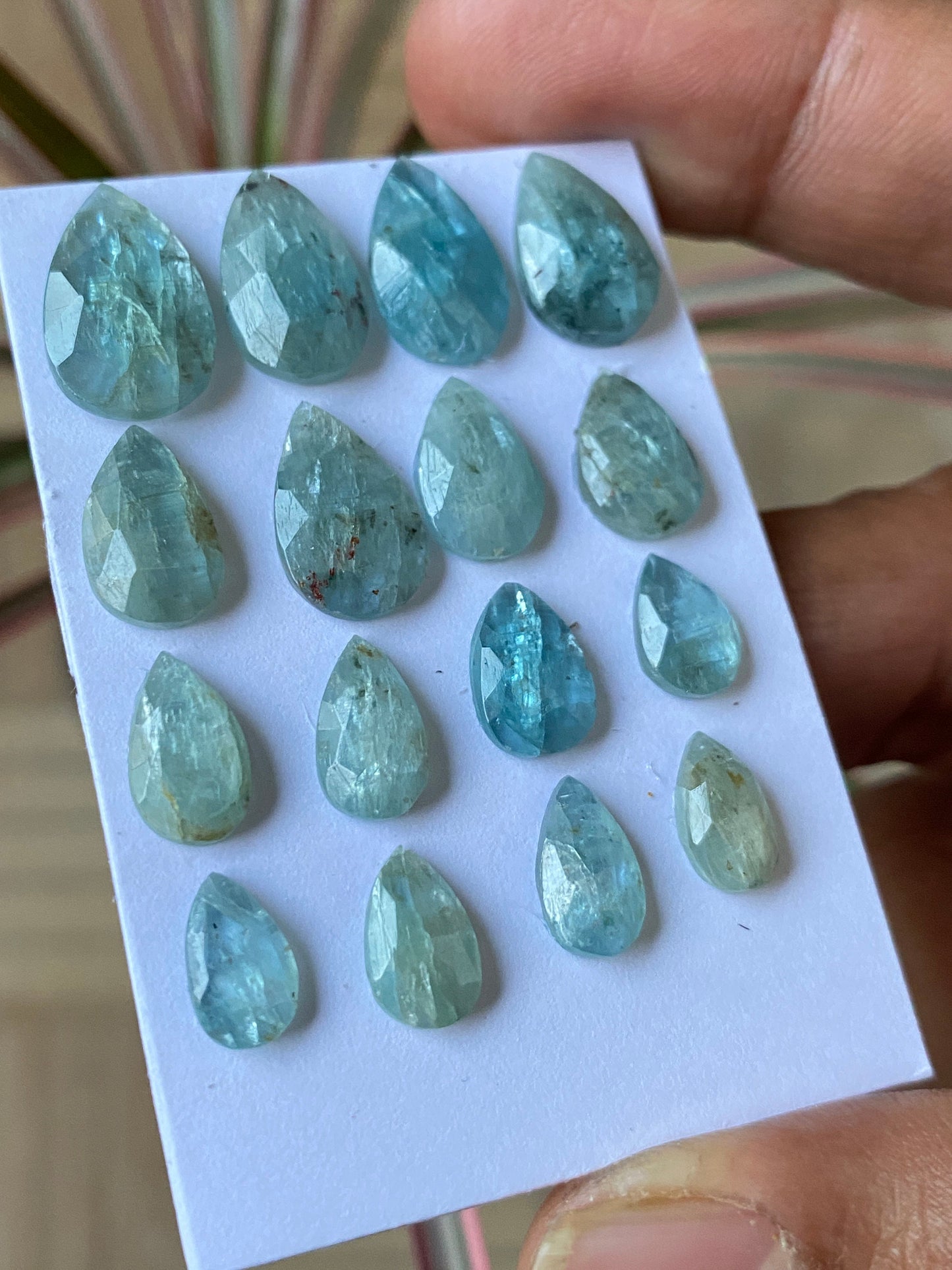 wow rare aqua color kyanite rosecut pear shape amazing quality lovely color weight 48 carats pieces 16 size 9.7x5.7mm-15.8x10mm rosecut gems