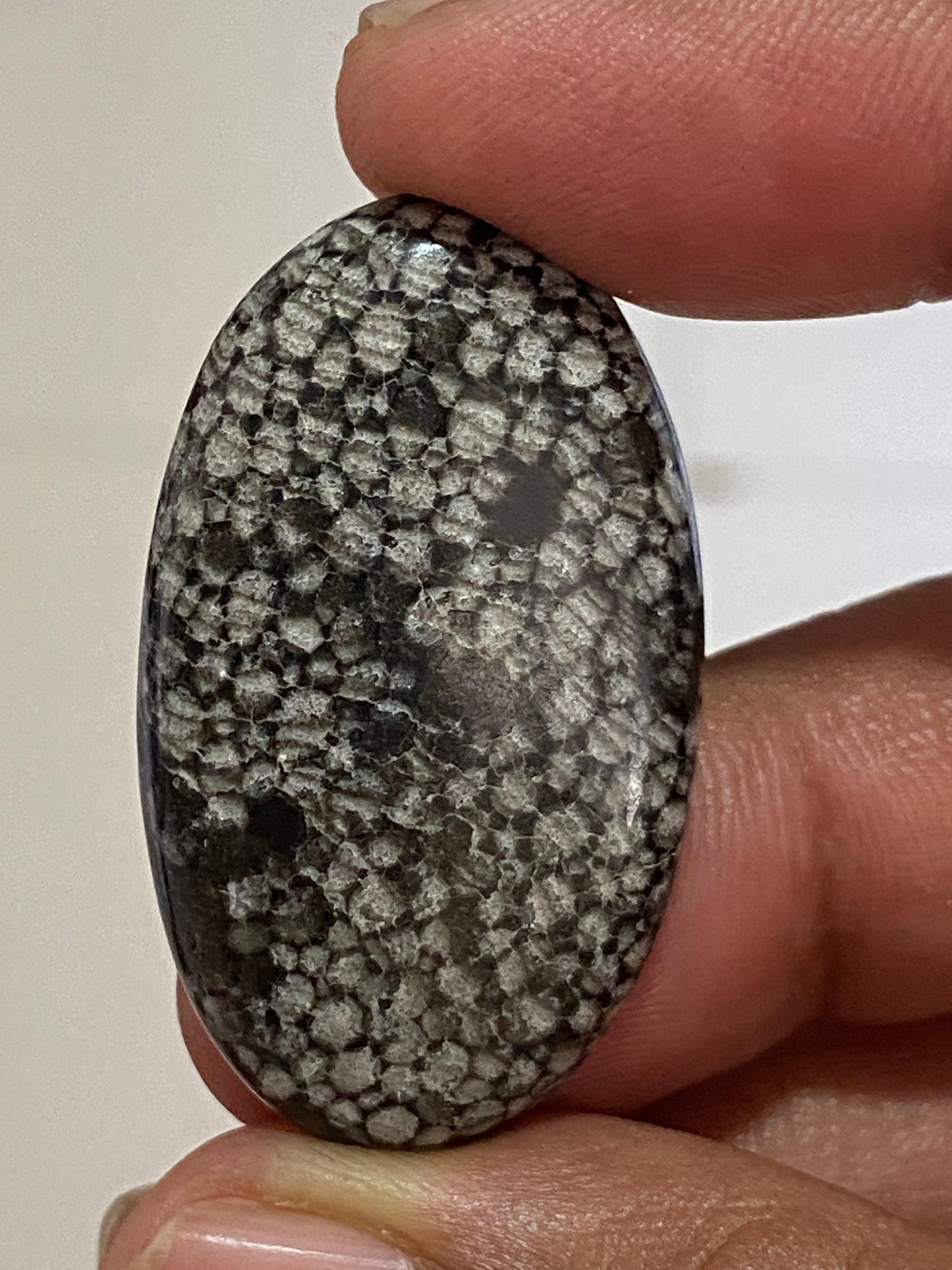 Rare Snake black fossil coral wire wrap supply black fossil coral cabochon oval pear cabochon pendant supply