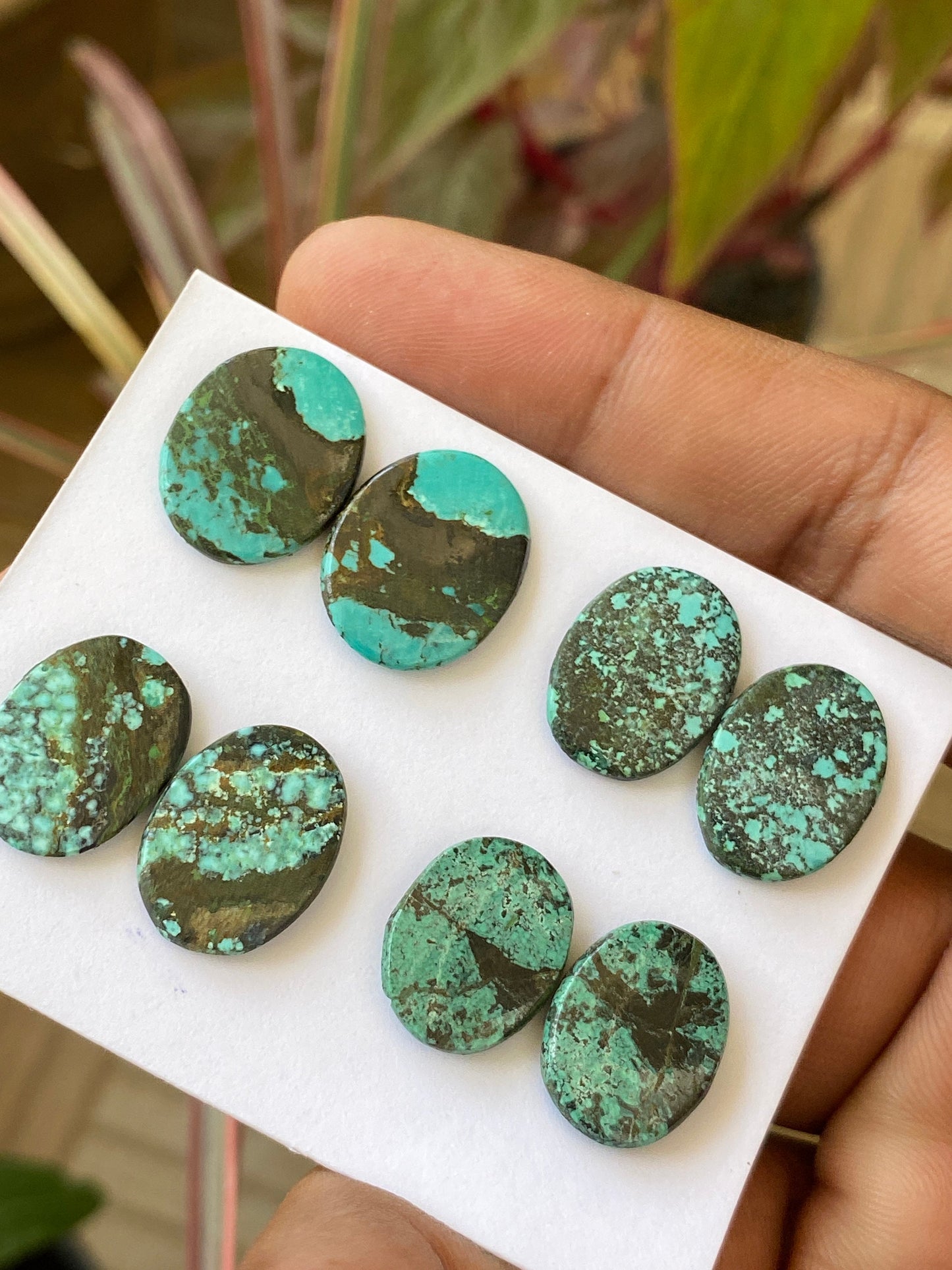 Rare Turquoise pair natural hubei mines rare pattern  smooth turquoise pcs 8 wt 39 carats size 12x14-15x12mm turquoise earrings supply