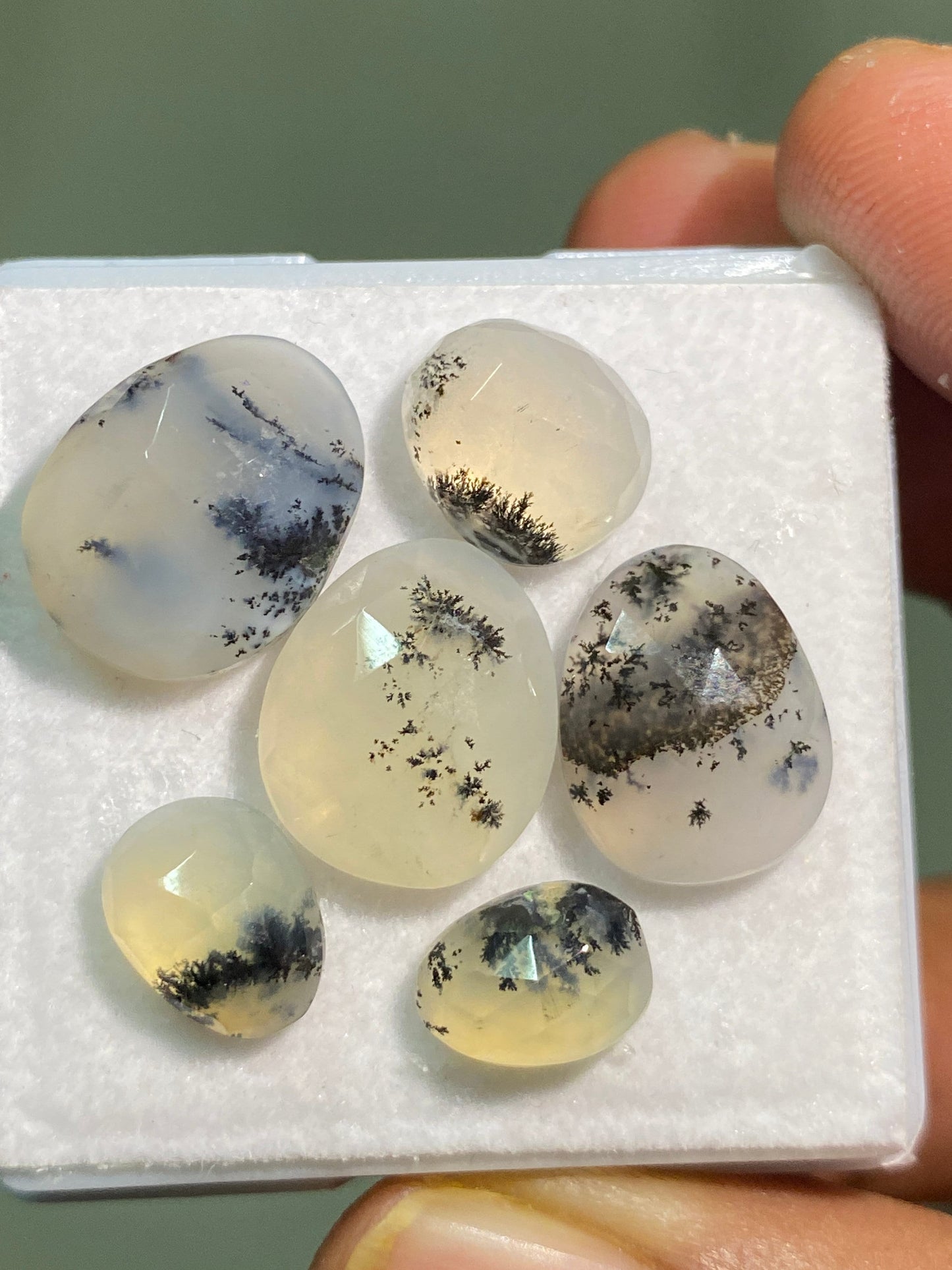 Cute rare dendritic quartz rosecut agate plant pattern ovalish shape rosecut size 10x7.5-16x12mm pcs 6 wt 24 carats dendrite