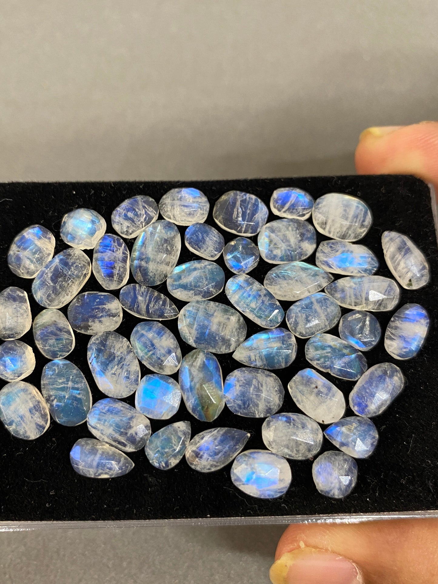 Vivacious Blue fire rainbow moonstone unusual faceted rosecut pcs 49 wt 67 cts  size 6x5.5mm-10x8mm beautiful fire rainbow moonstone facted