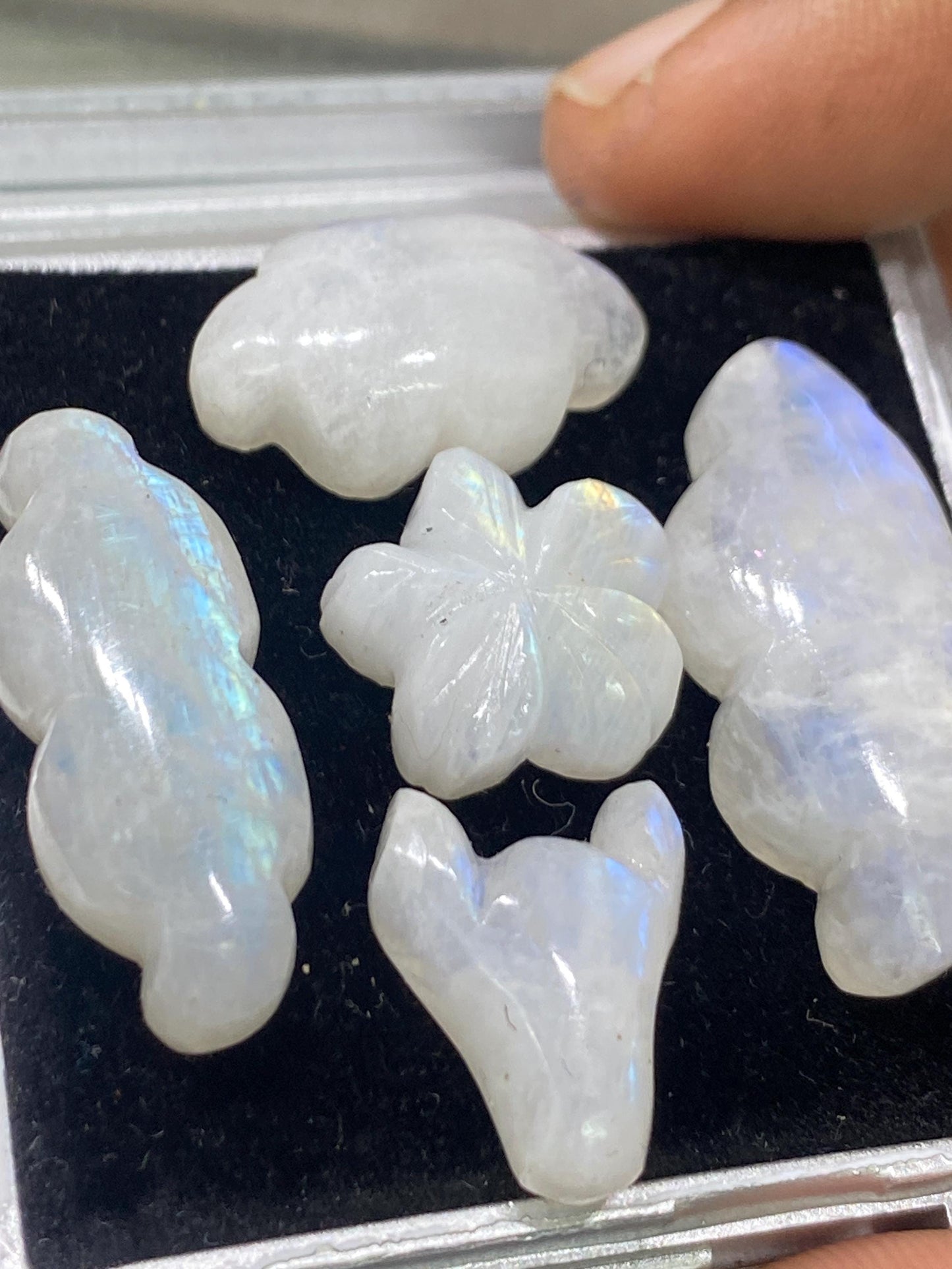 Gorgeous rare white moonstone cloud carving  bill head flower blue fire moonstone pcs 5 wt 81 cts size 15mm-30x13mm moonstone carving