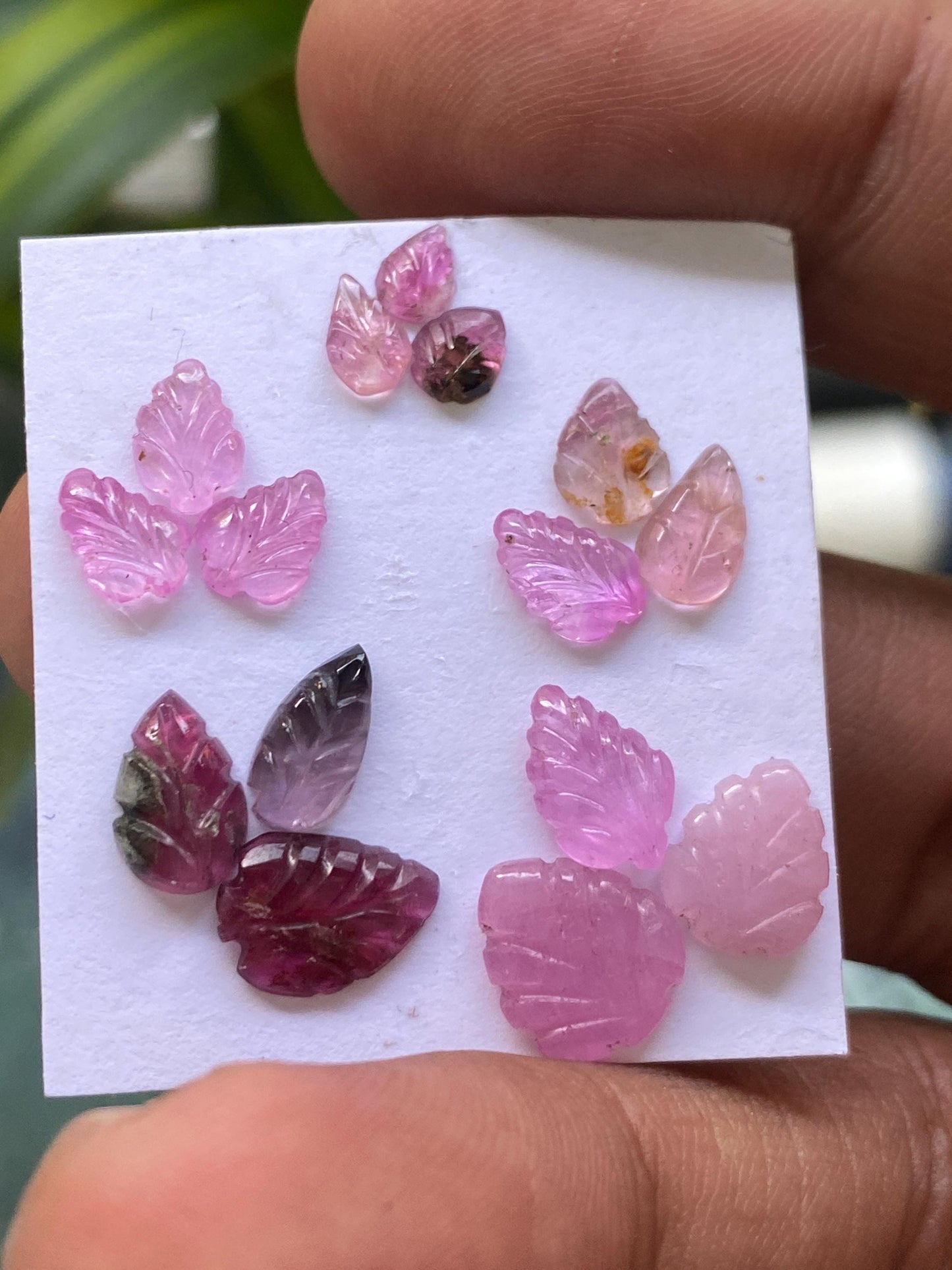 Stunning pink sapphire Watermelon tourmaline leaves carvings wt 11.70 carats pcs 15 size 5x3.8mm-10.2x8.6mm leaf carving