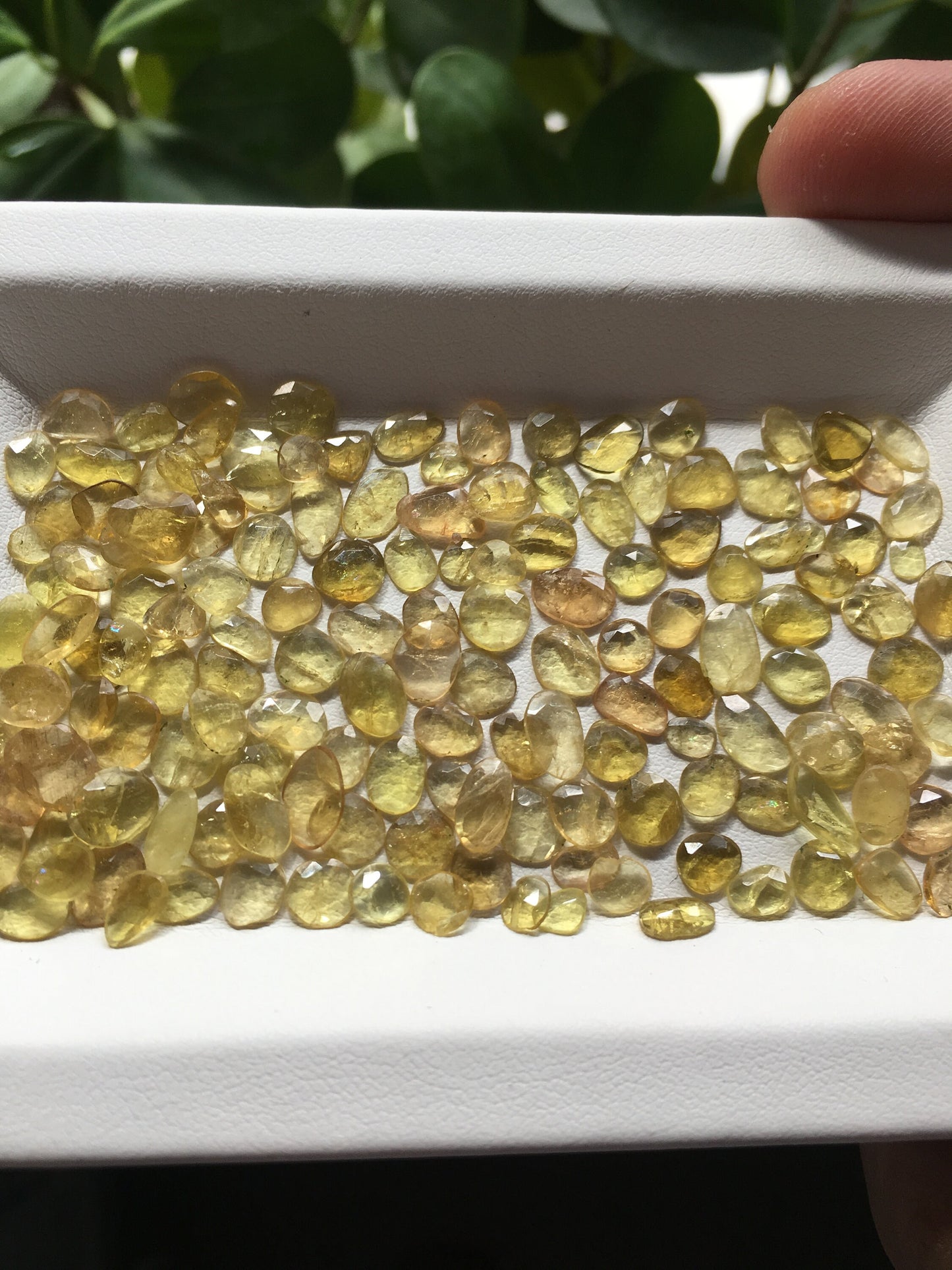 Awesome yellow tourmaline lot (unheated and untreated) size 4x3mm to 6.7x6mm 44.10 carats 152 Pcs