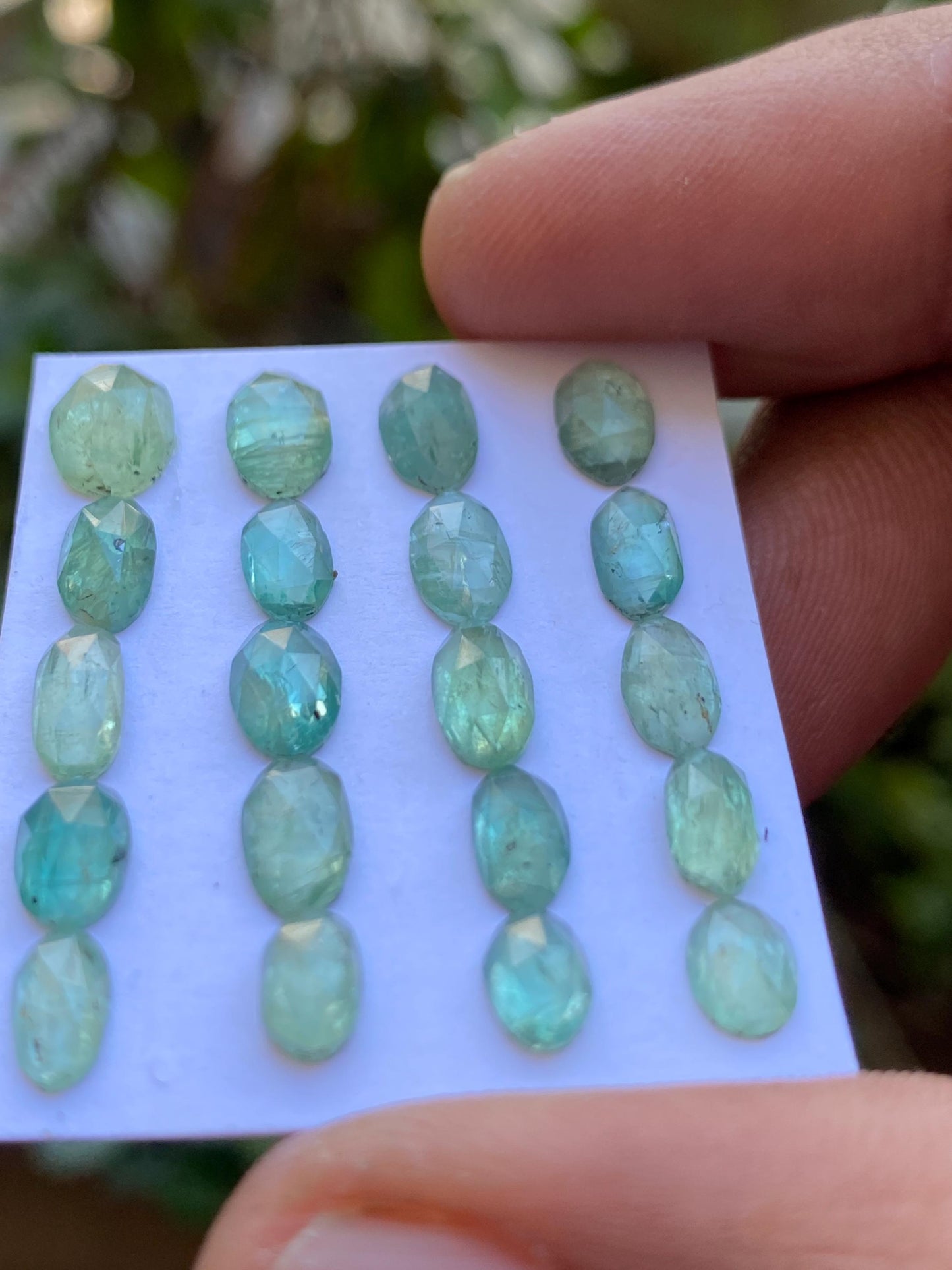 Gorgeous Mint green kyanite ovalish rosecut flats fine quality weight 16.15 carats size 6.1x4.5mm-8.8x6.3mm pcs 20 mint green rosecut