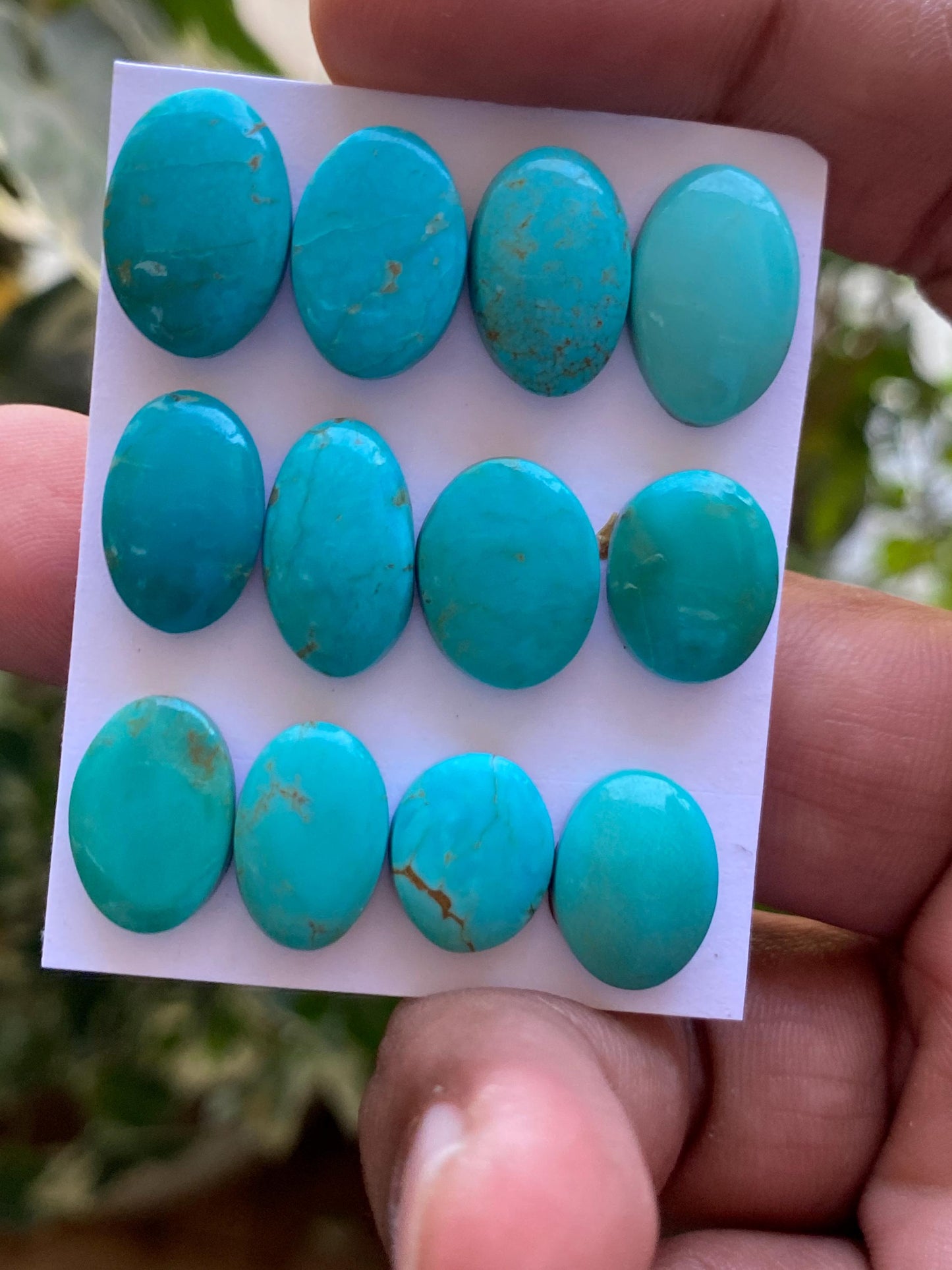 Mesmerising rare Arizona  mines Turquoise cabochons  natural smooth polished ovals pcs 12 wt 67 carats 12x10mm-16x11mm turquoise cabochons