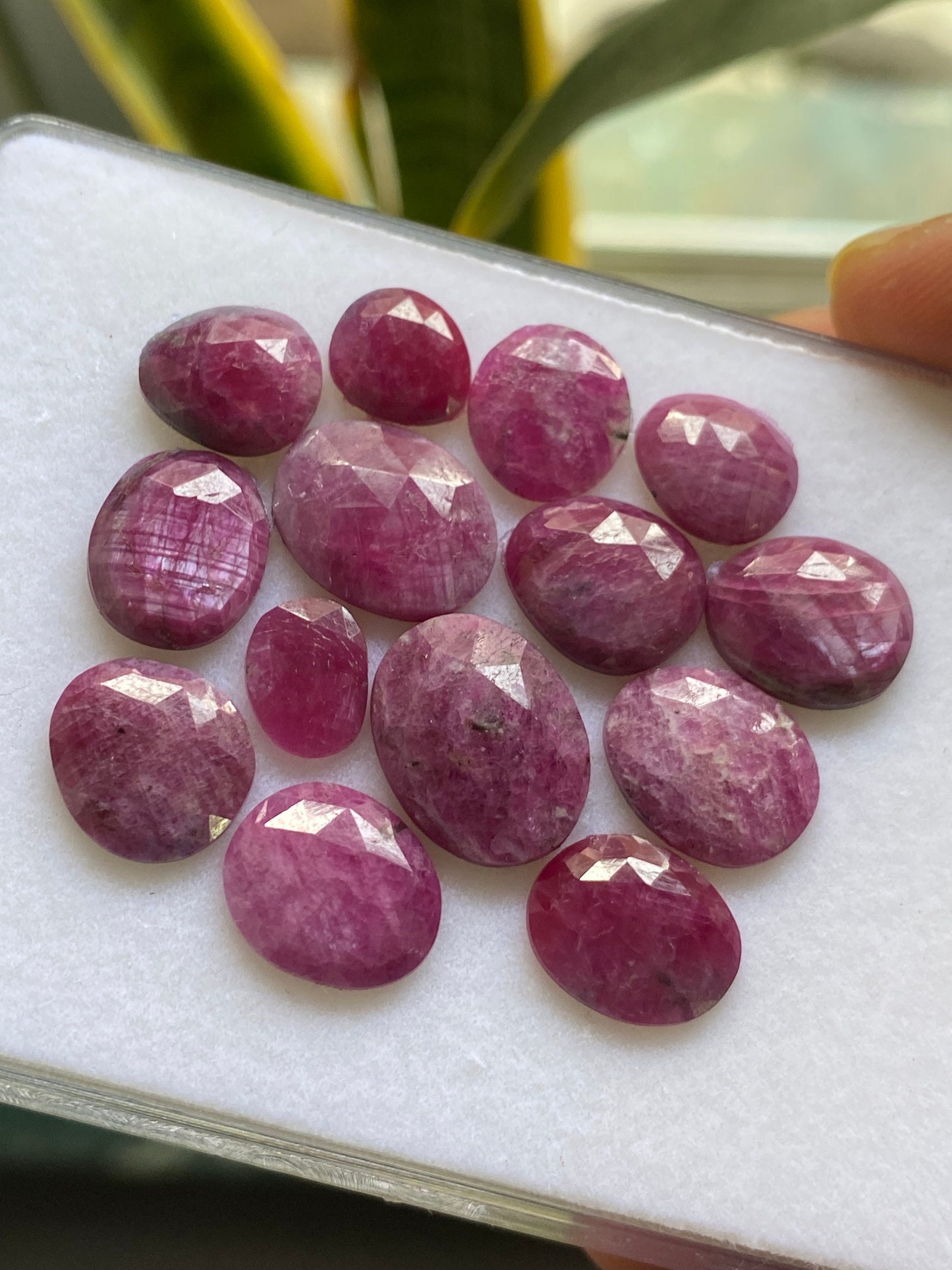 Beautiful fine quality ruby rosecut wholesale lot ideal for any kind of jewelry pcs 14 wt 55 carats size 9.6x7mm-15x11.9mm  rosecut ruby