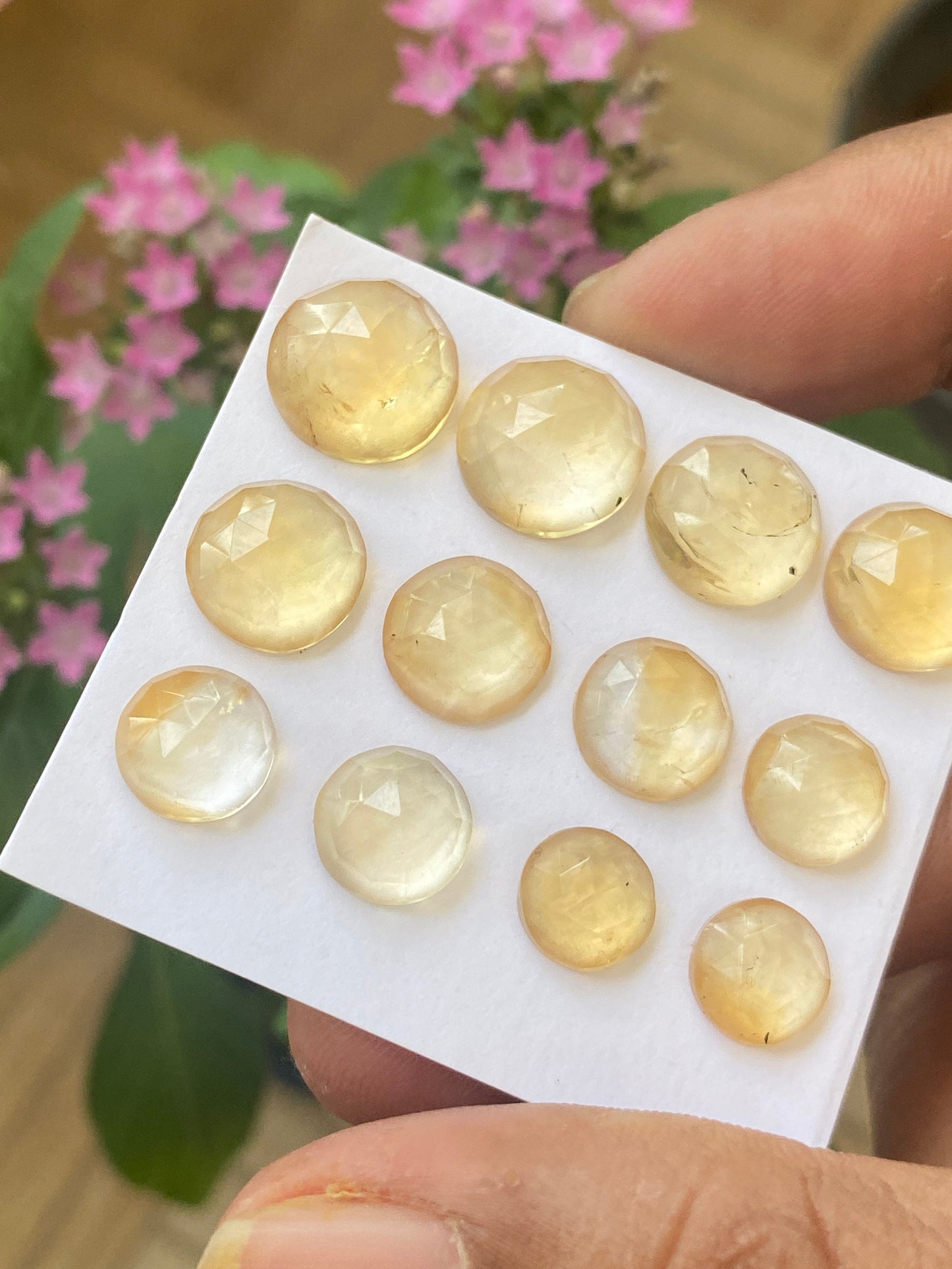 Dazzling rare Citrine rosecut round shape wholesale lot  natural citrine round rosecut flatback pcs 12 weight 41 carats citrine round