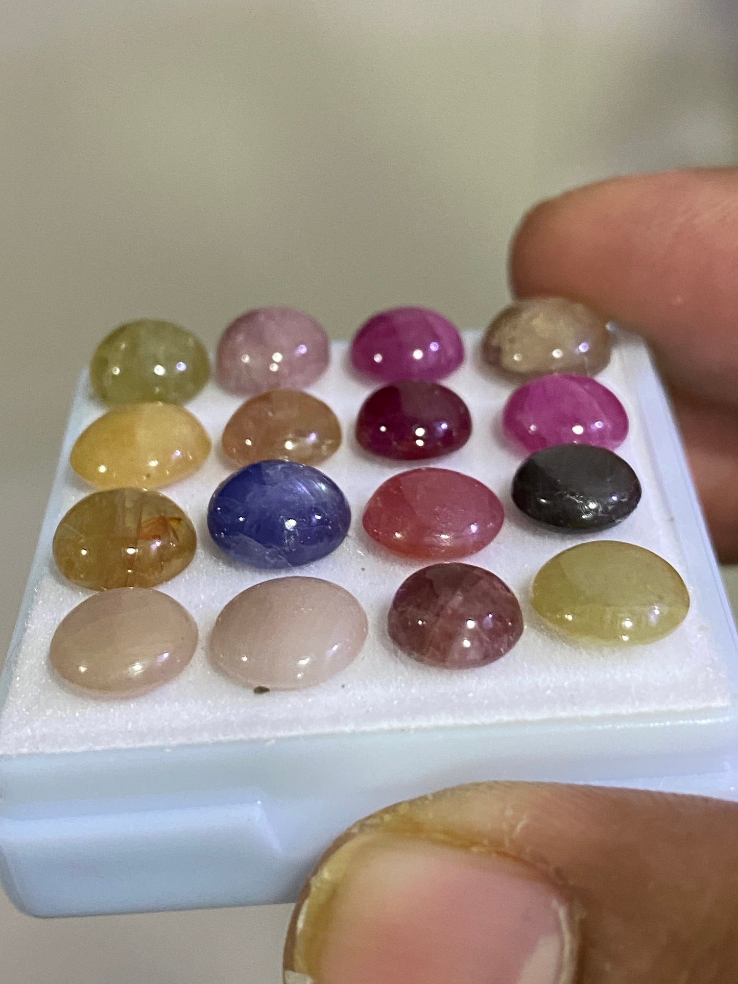 Mesmerising Nice beautiful rare multi sapphire round cabochons wt 43.5 carats size 7.7mm-8.4mm pcs 16 natural sapphire unheated untreated