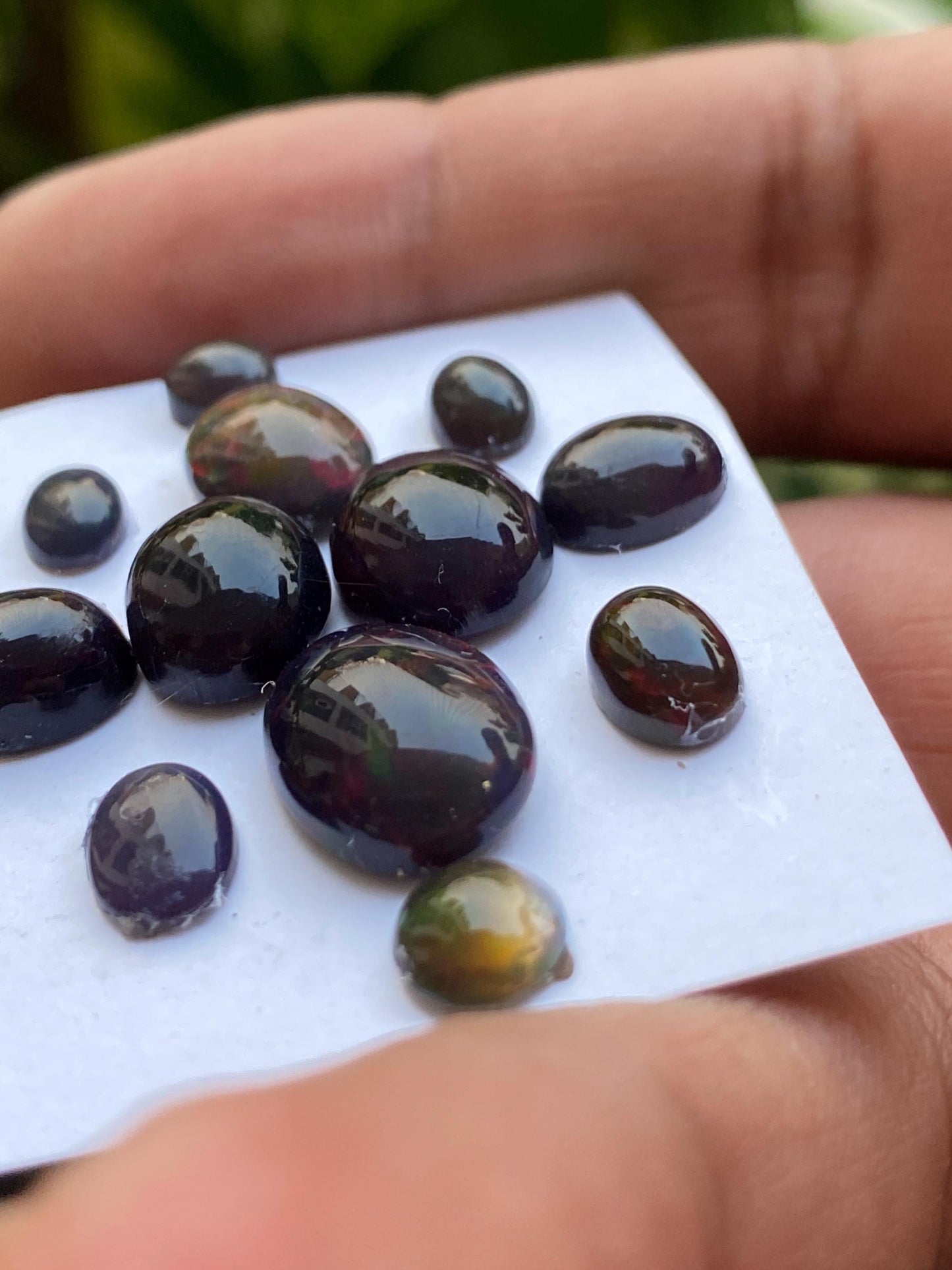 Fabulous Black opal (smoked)Natural Fire opal cabochons lot size wt 19.5 cts size 6x6-14x6mm pcs 12 opal cabochon fire black opals cabochons