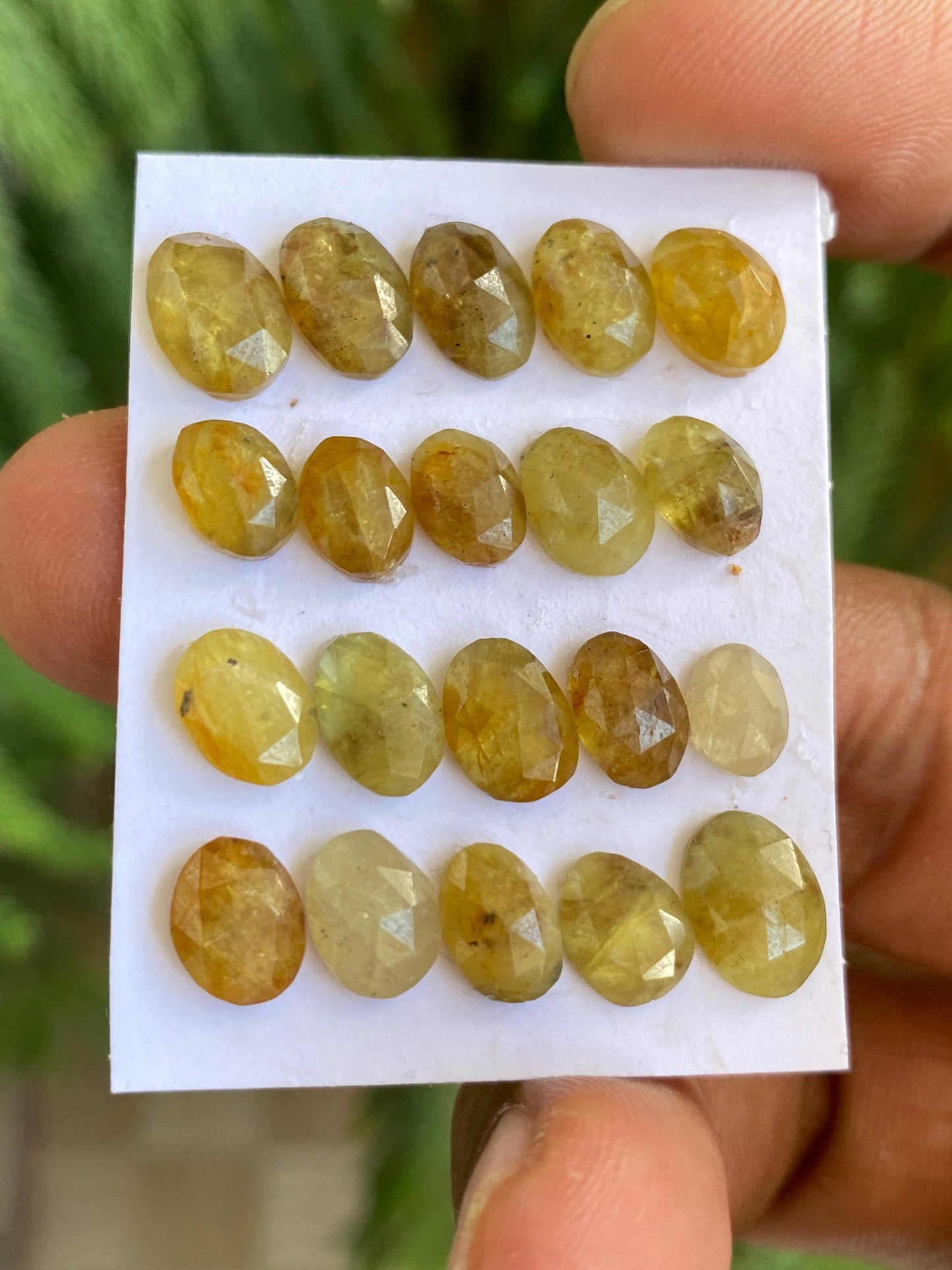 Dazzling very rare Tanzania mines yellow sapphire Bicolor rosecut  wt 36 carats pcs 20 size 6.5x5-9x6.5mm sapphire rosecut gems