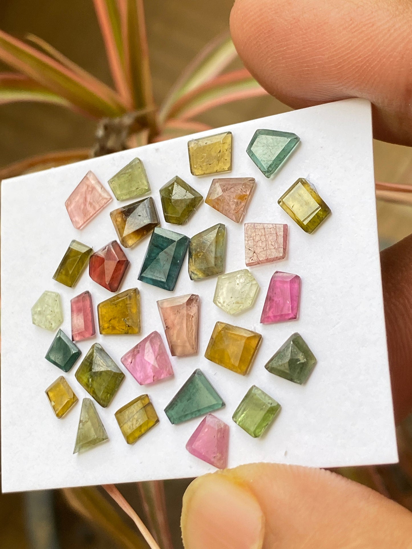 Ravishing Watermelon multi tourmaline geometric cut flats fine quality weight 12 carats size 4x3-7x5mm pcs 30 tourmaline geometric flats