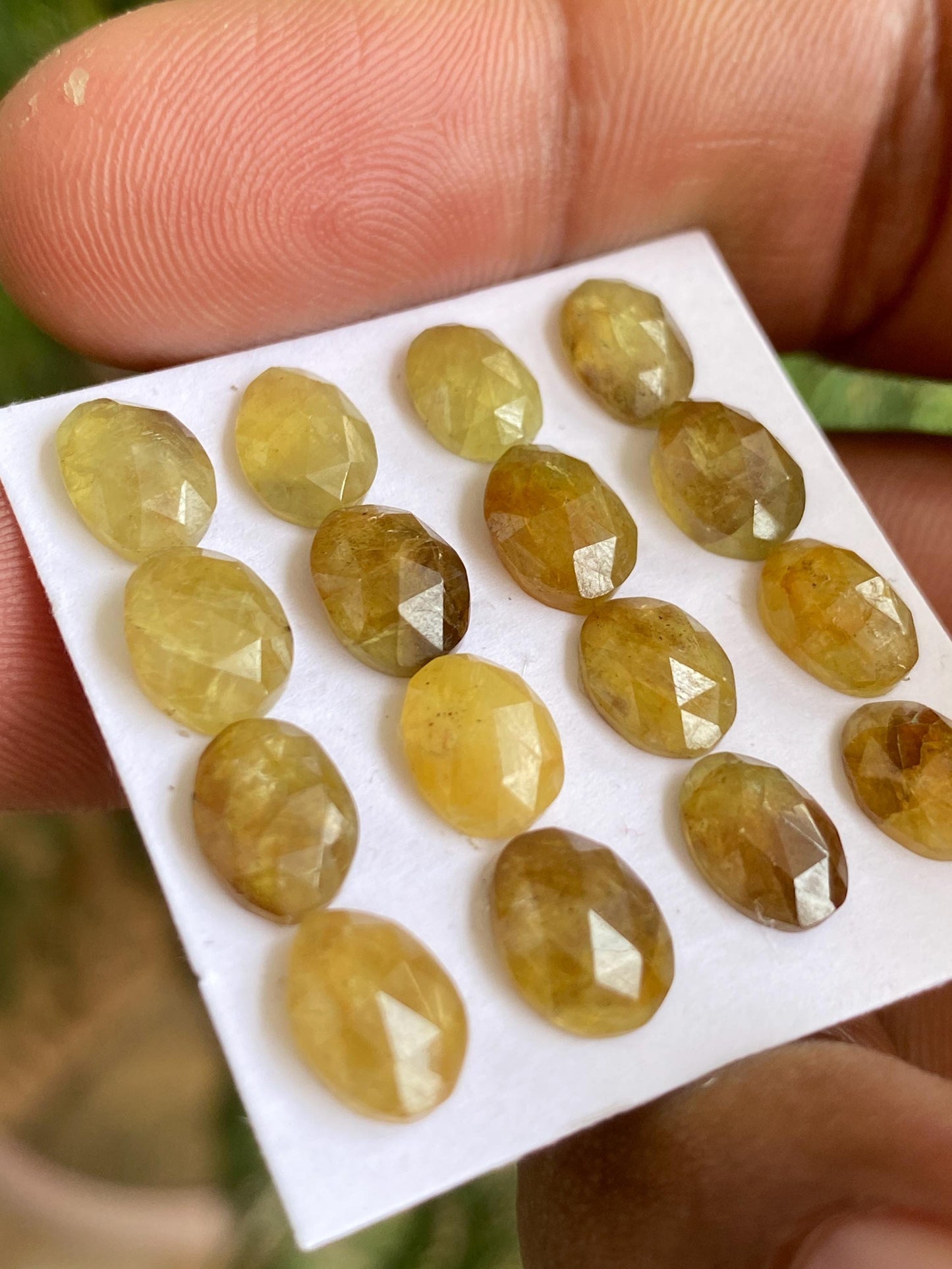 Stunning very rare Tanzania mines yellow sapphire Bicolor rosecut  wt 28 carats pcs 16 size  7x6-8.5x7mm sapphire rosecut gems