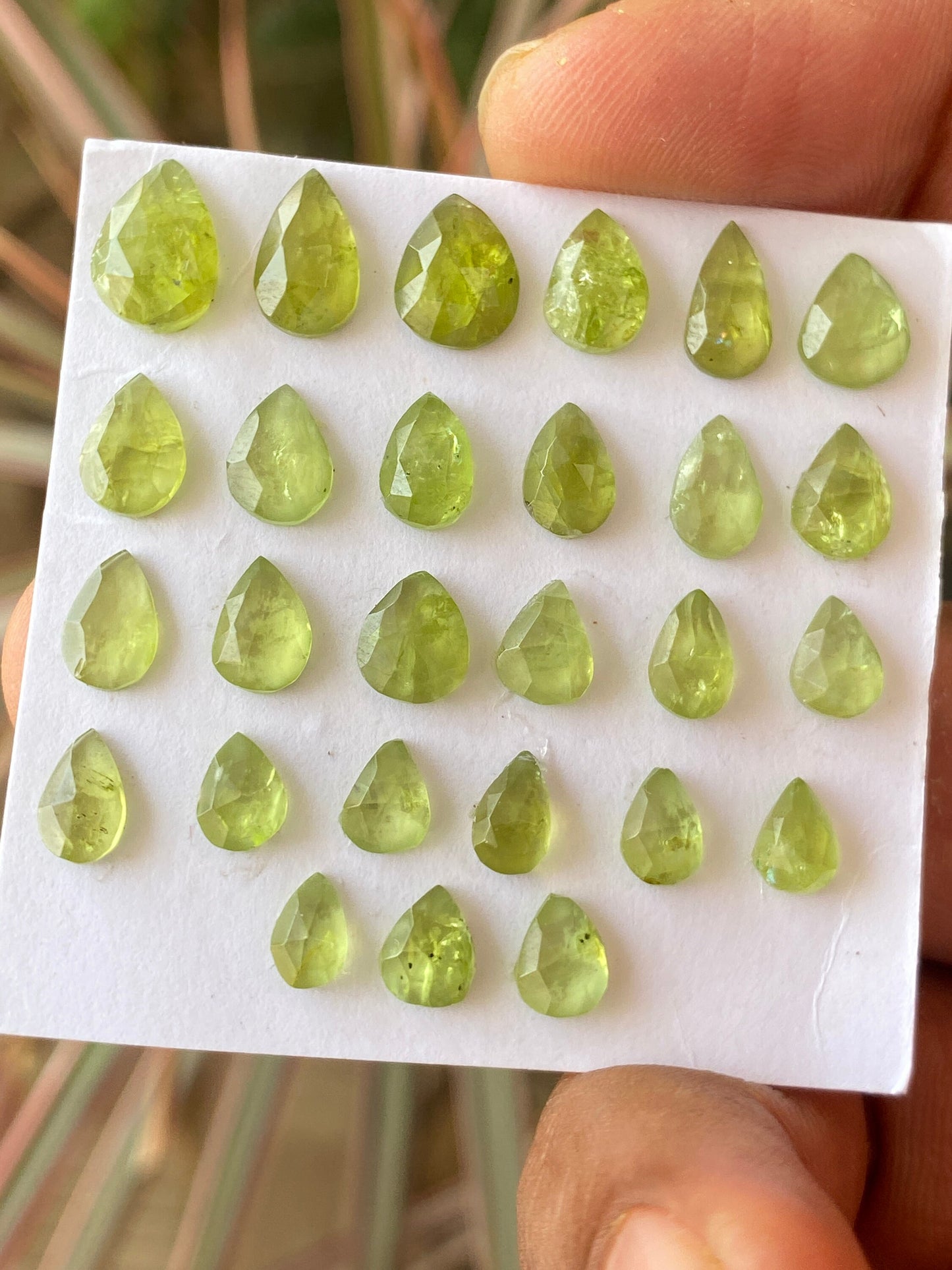 Nice rare peridot rosecuts pear shape wholesale lot weight 26 carats size 6x5mm-10x7mm pieces 27 peridot cabochons