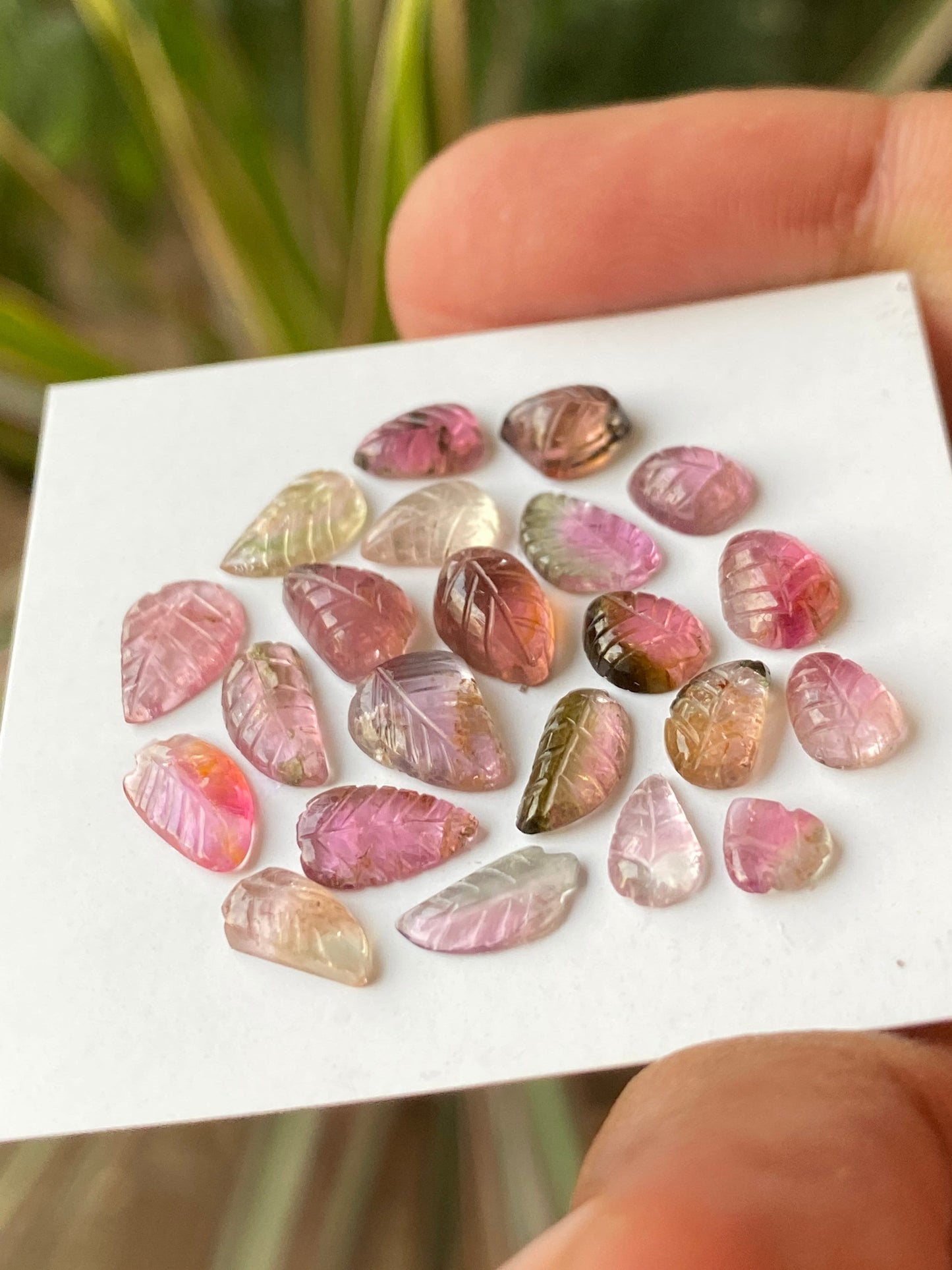 Fabulous Bicolor Watermelon tourmaline leaves carving  multi tourmaline carvings wt 15 carats pcs 22 size 5x4mm-9x6mm tourmaline leaves