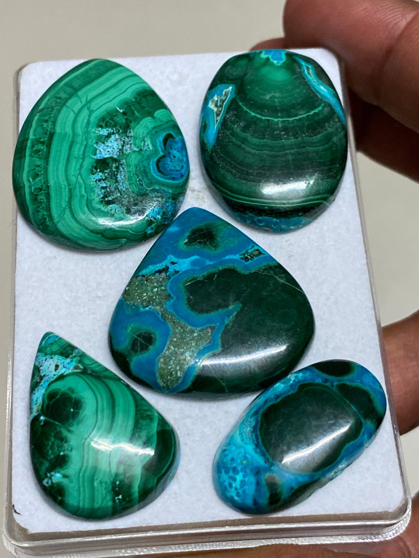 Amazing rare huge malachite chrysocolla cabochons wholesale lot weight 239 carats pcs 5 size flatback gems