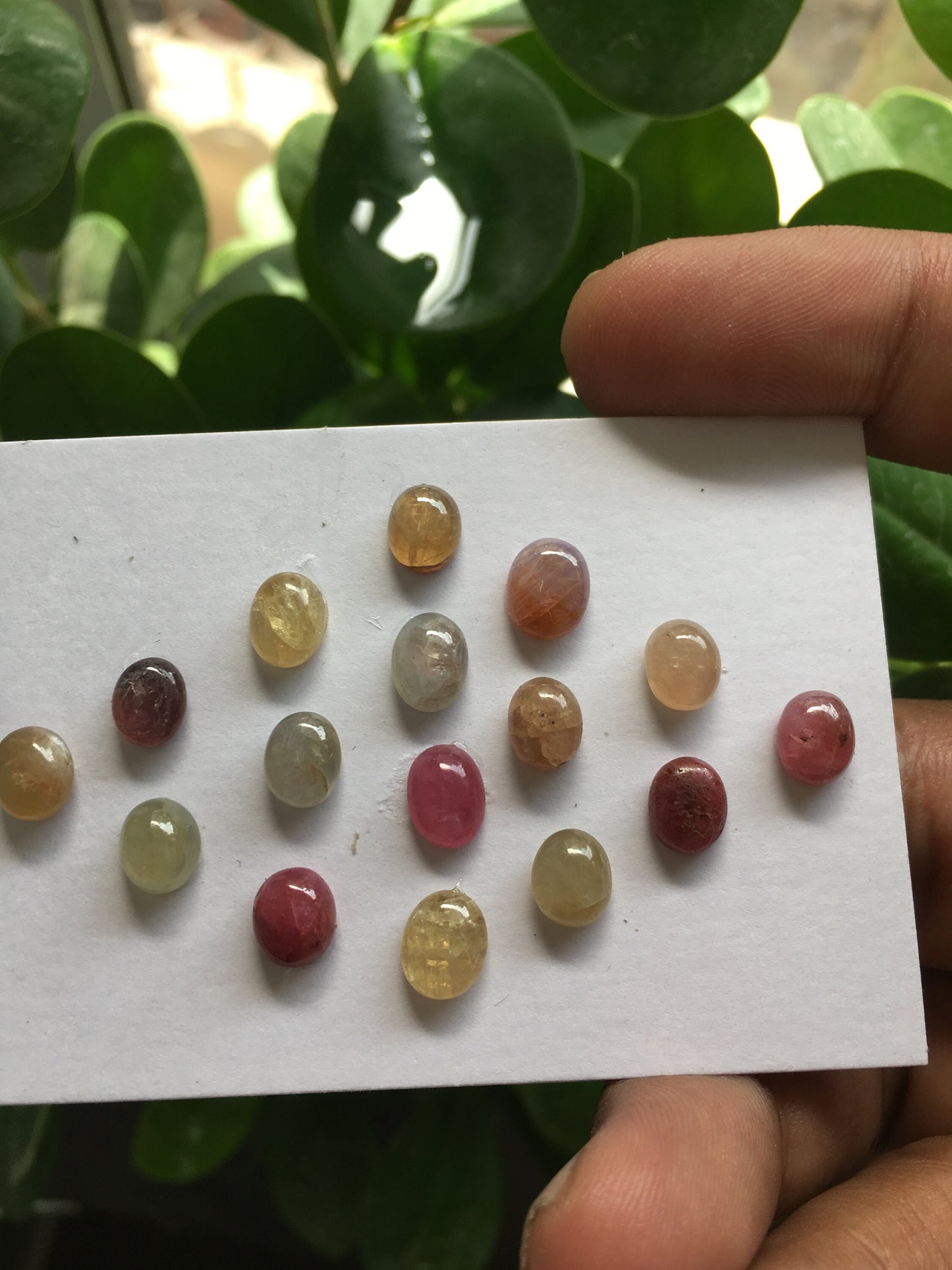 Multi  Sapphire Cabochons Natural umba sapphire Unheated Untreated Sapphire  weight 31.15 carats pcs 16 Size 7x5mm to 8x6mm fine quality