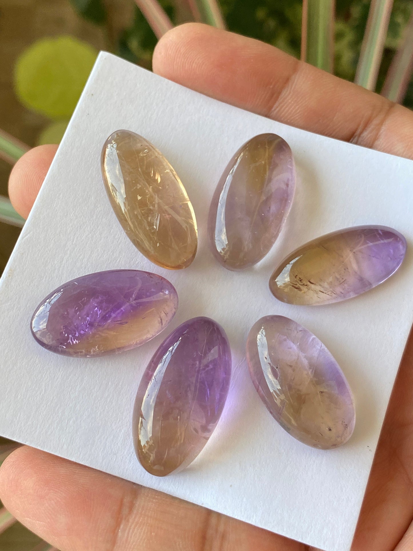 Dazzling Ametrine rare huge oval cabochon wire wrap supply Ametrine cabochon pcs 6 wt 176 carats size 28x13.5-30x16mm pendant supply