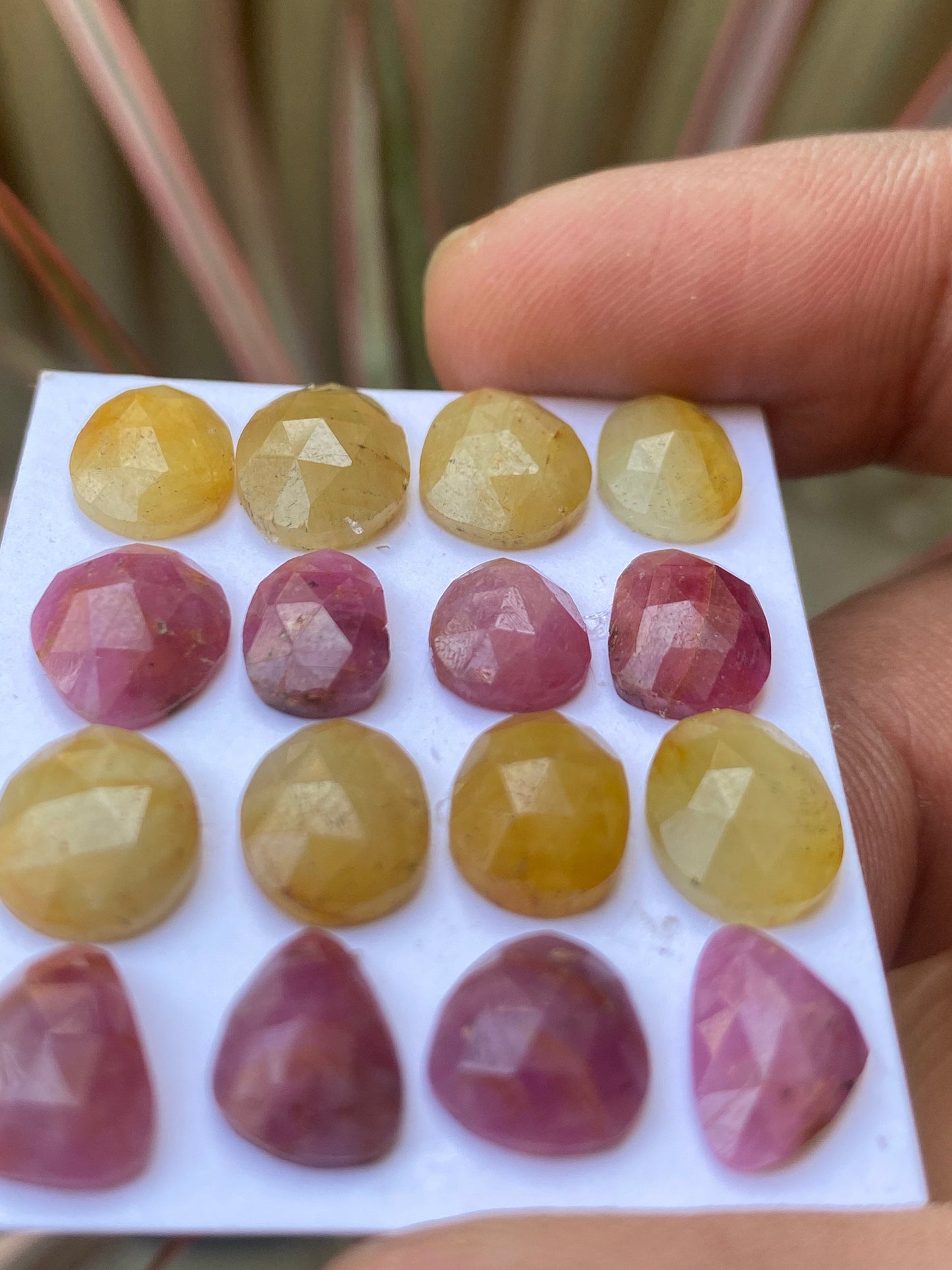 Cute very rare natural multi yellow  sapphire ruby rosecut lot oval pcs 16 wt 45 cts size 9.8x7.8mm-11x9mm  rosecut pink multi sapphire