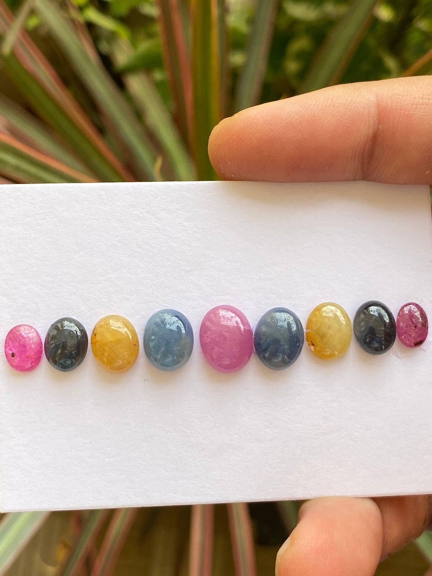 Natural very rare multi sapphire cabochons weight 30.40 carats size 8x6mm-11.5x9 pcs 9 beautiful natural unheated untreated sapphire