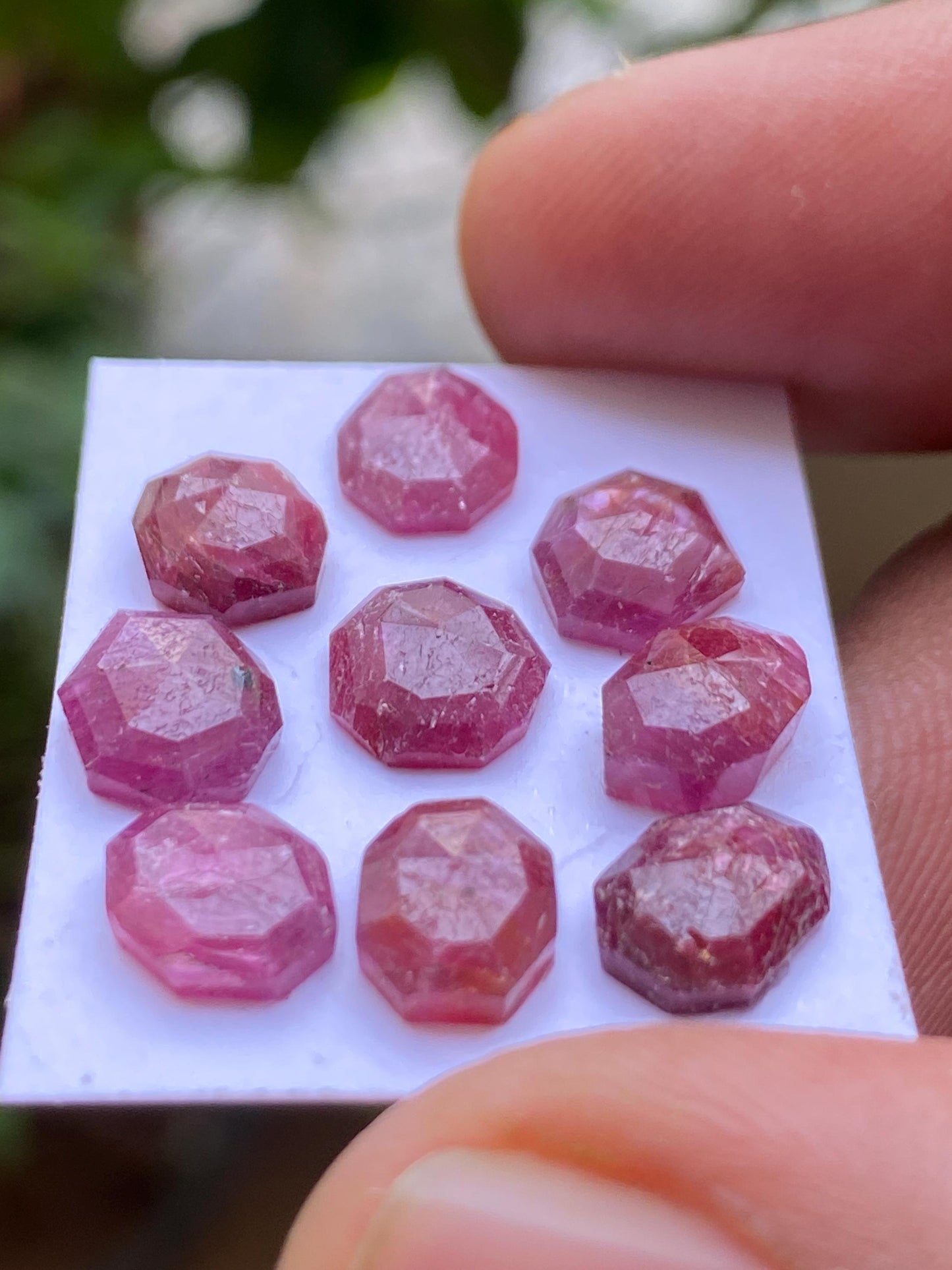 Fascinating rare natural unheated untreated ruby mozambique flat cut geometric pcs 9 wt 17.29 cts  size 8.2x7mm-9x6mm ruby mozambique mines