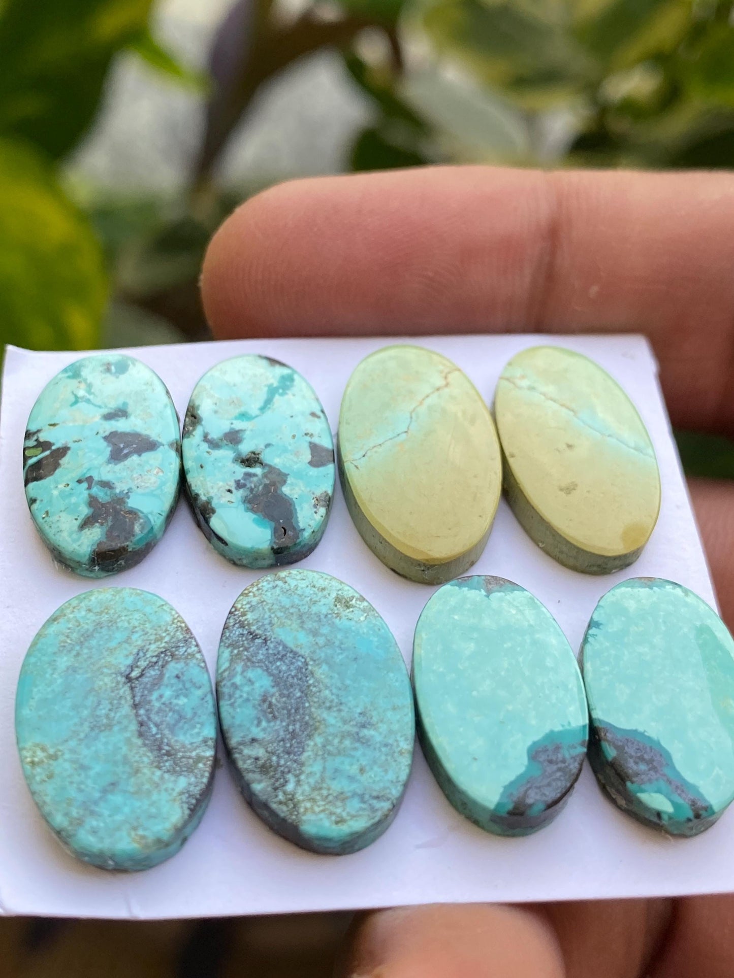 Rare Turquoise pair natural hubei mines rare pattern  smooth turquoise pcs 8 wt 56  carats good size 17x10-20x11mm turquoise earrings supply