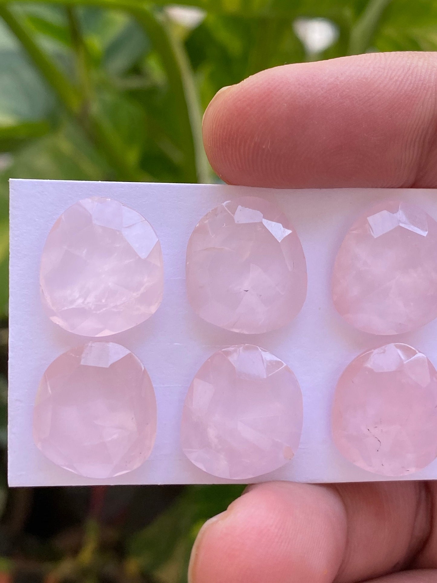 Dazzling rosequartz rose cut lot fancy oval fine quality weight 48 carats pcs 6 size 16.5x14.7mm rosecut rose quartz