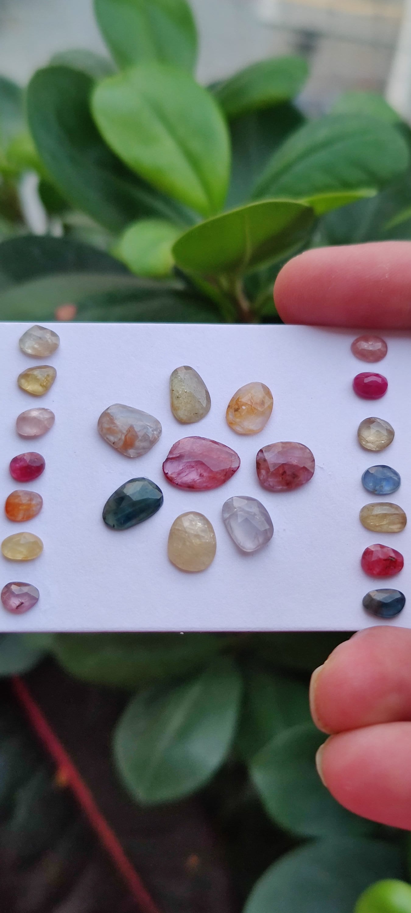 Vibrant rare unheated multi sapphire rosecut lot weight 28 pcs 22 Size 6.3x4.6mm-12.8x9.6mm amazing colors natural sapphires