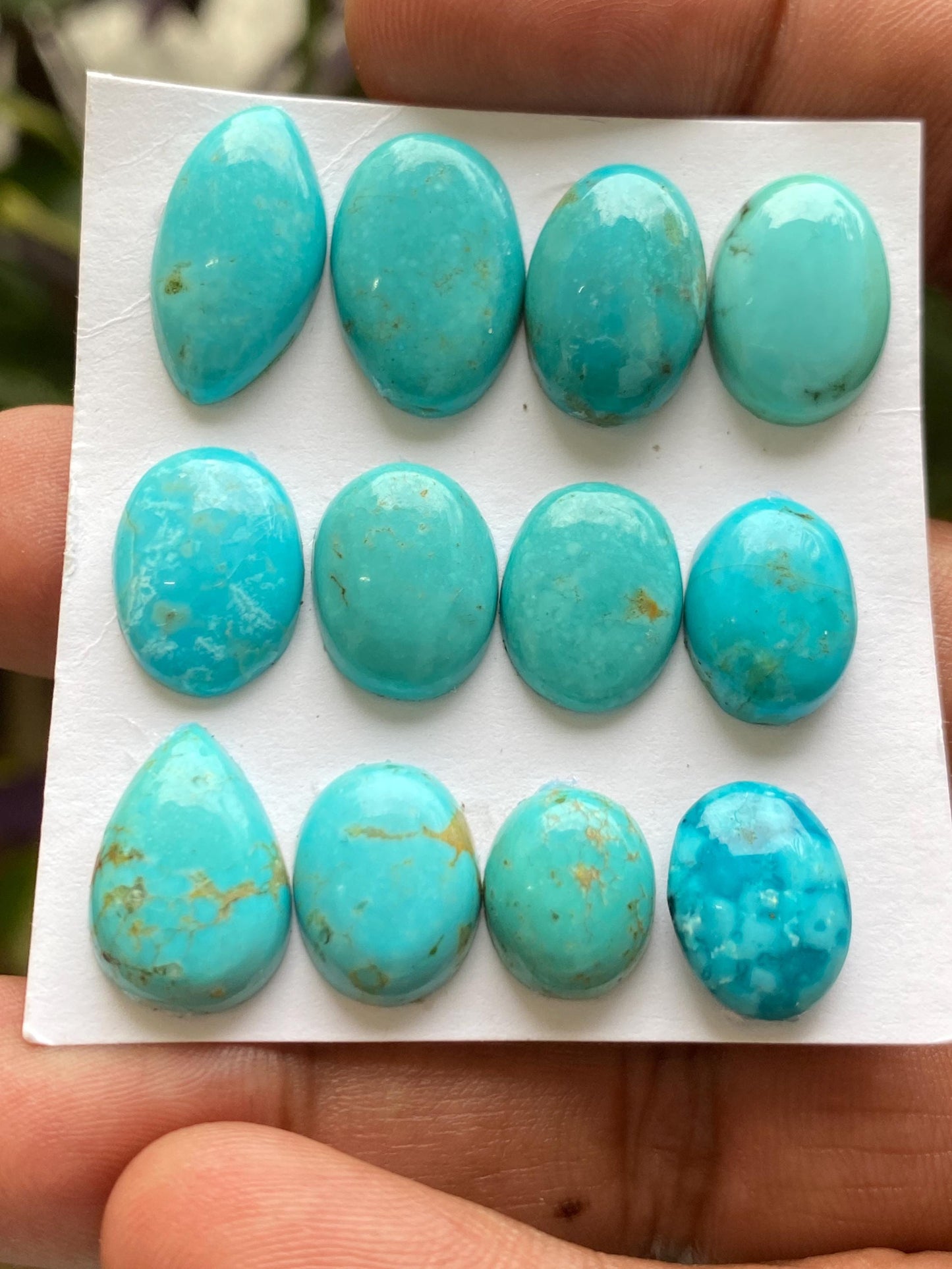 Fabulous rare Arizona  mines Turquoise cabochons natural smooth polished mix shapes pcs 12 wt 68 carats 12x10-17x12mm turquoise cabochons