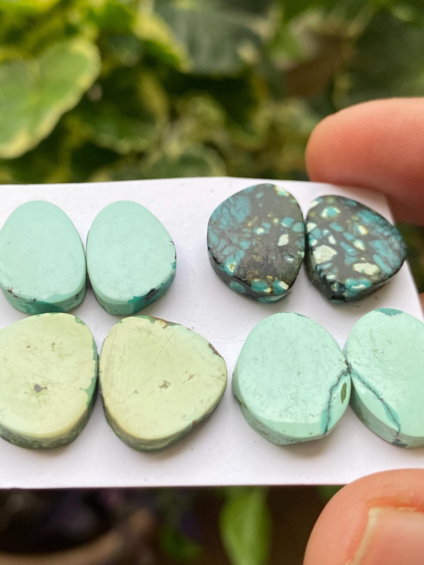 Cute Turquoise pairs natural hubei mines smooth polished cloud mountain pcs 8 wt 44 carats 15x10-15x14mm turquoise earrings supply