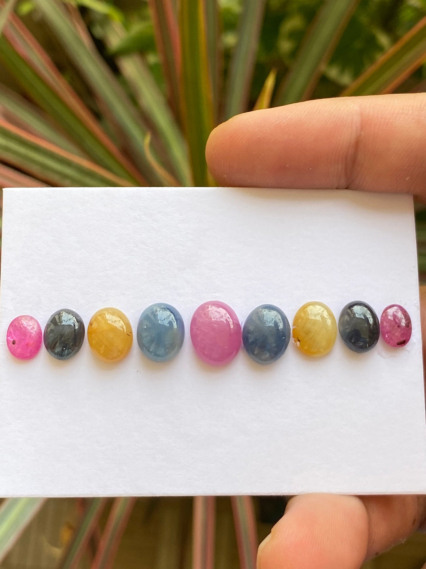 Natural very rare multi sapphire cabochons weight 30.40 carats size 8x6mm-11.5x9 pcs 9 beautiful natural unheated untreated sapphire