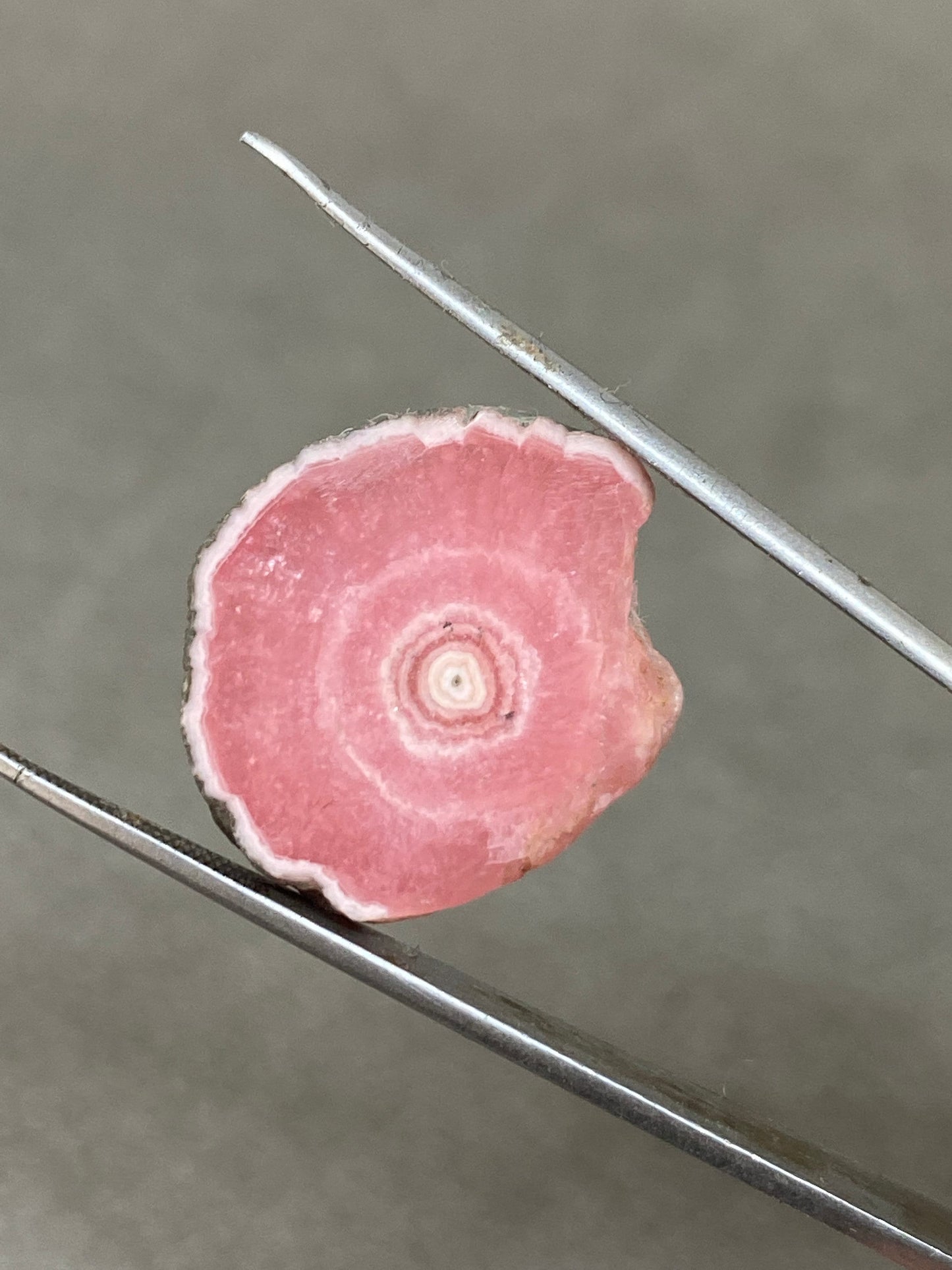 Aaa quality rhodochrosite slice watermelon smooth polished wt 16 carats size 23x19mm one of a kind very rare