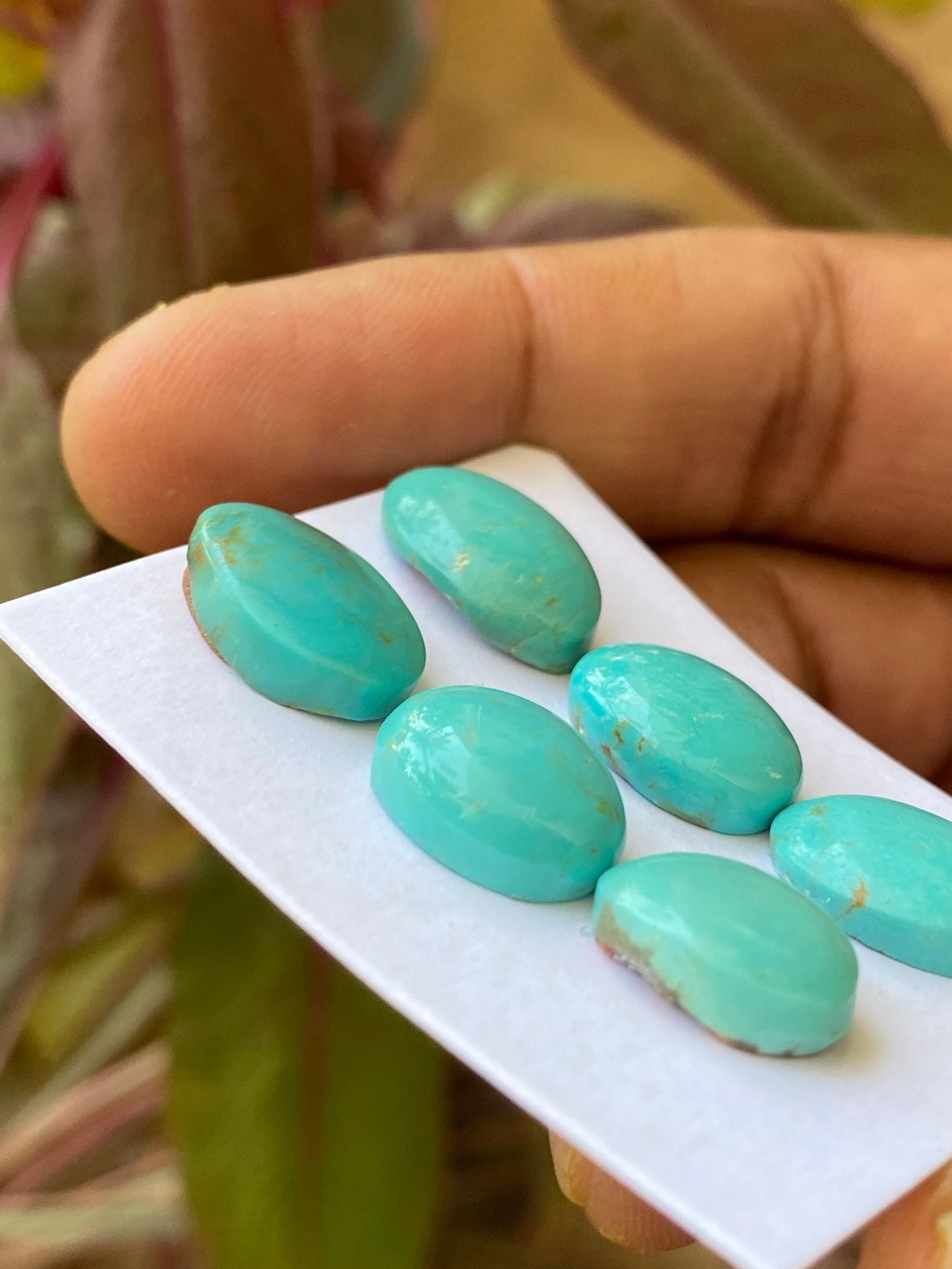 Nice rare Turquoise cabochons earrings natural Arizona mines smooth polished ovals pcs 6 wt 30 carats 13x9-15x10.5mm turquoise cabochon