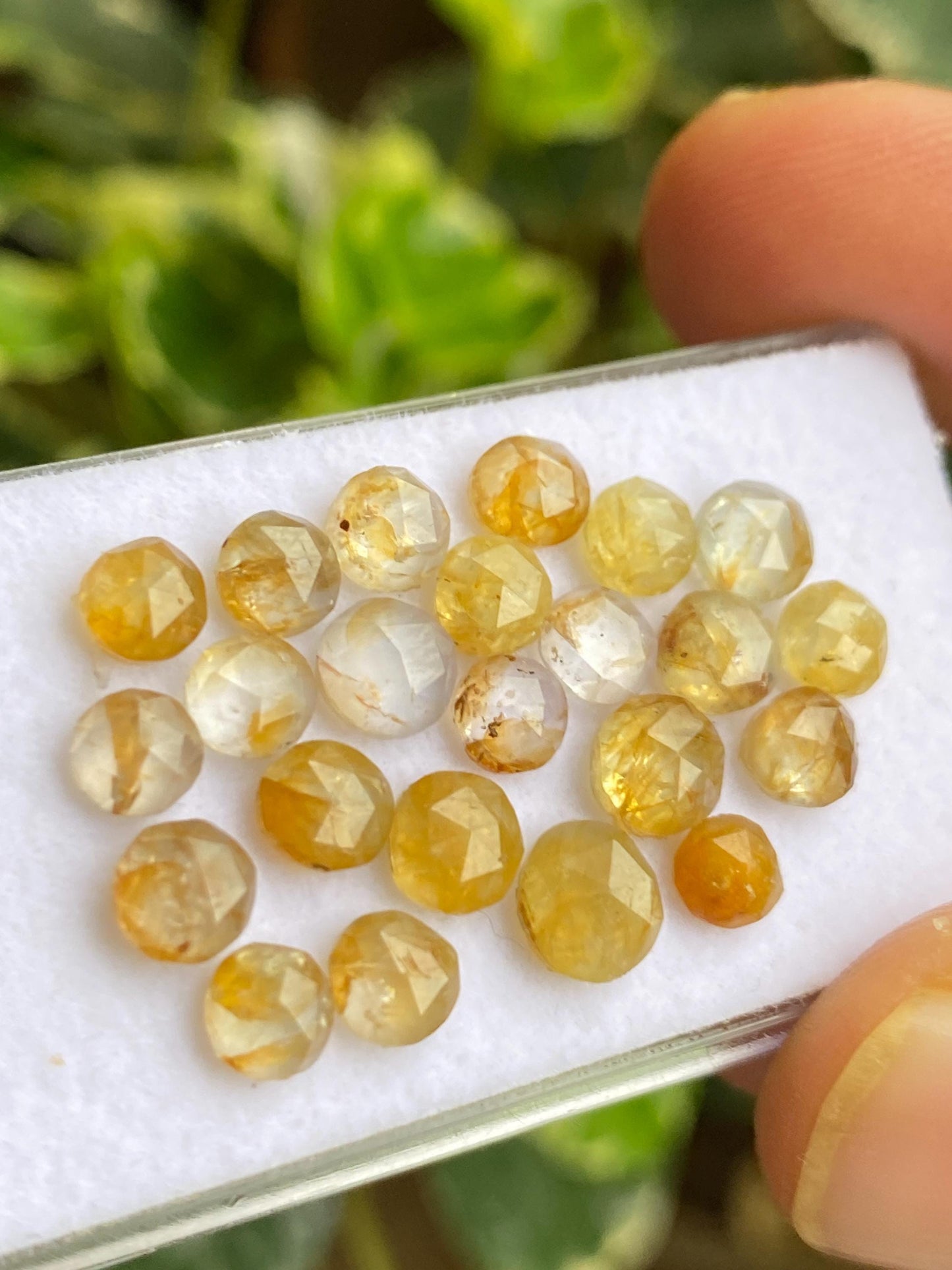 Fabulous very rare Kenya mines Bicolor yellow sapphire Bicolor rosecut wt 19 carats pcs 23 size  4.8mm-6mm sapphire round rosecut gems