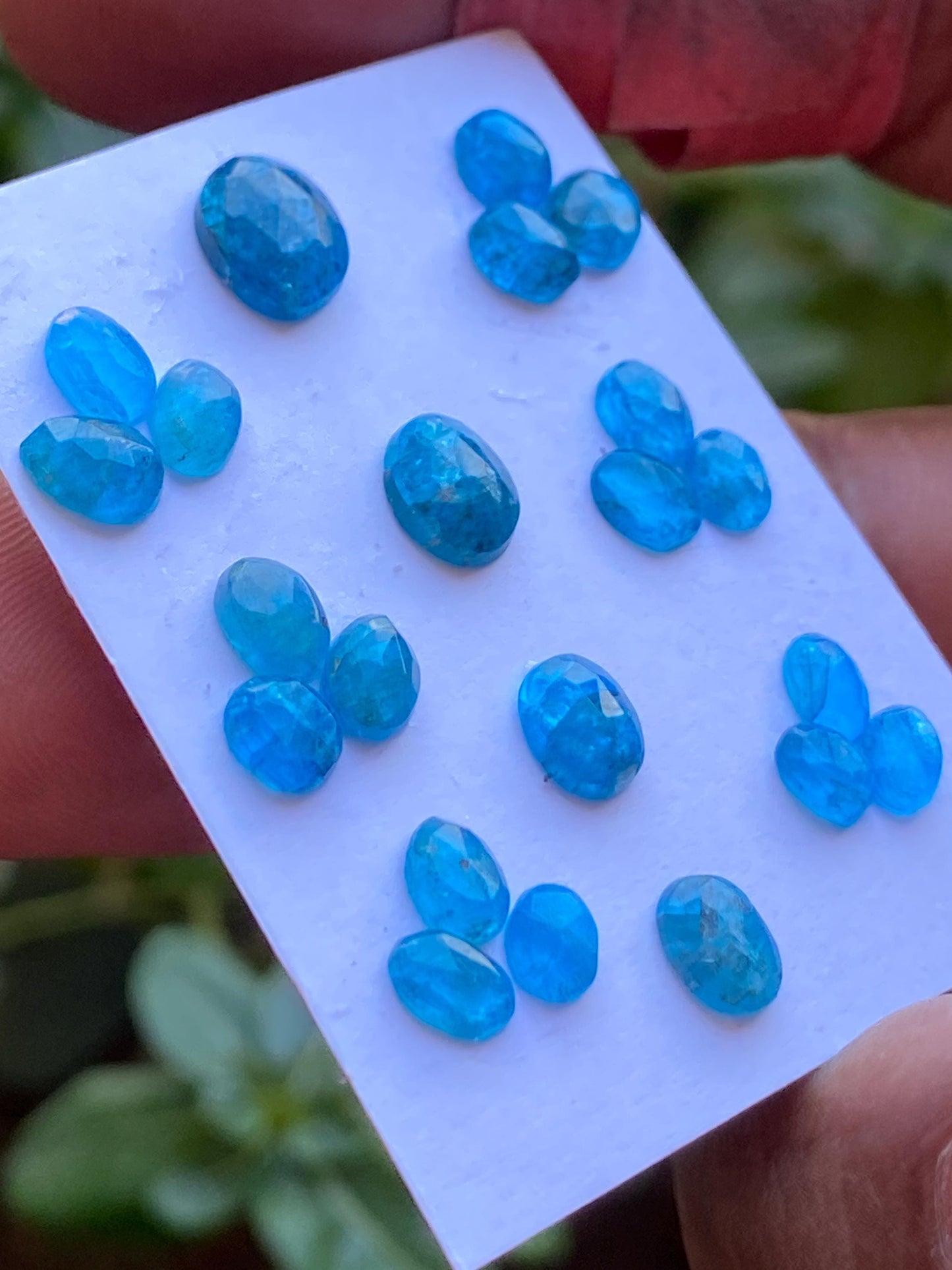 Stunning Neon Blue apatite rosecut wholesale lot wt 12 cts pcs 22 size 5.1x3.8mm-8.4x6.8mm rosecut neon blue apatite flats apatite rosecut