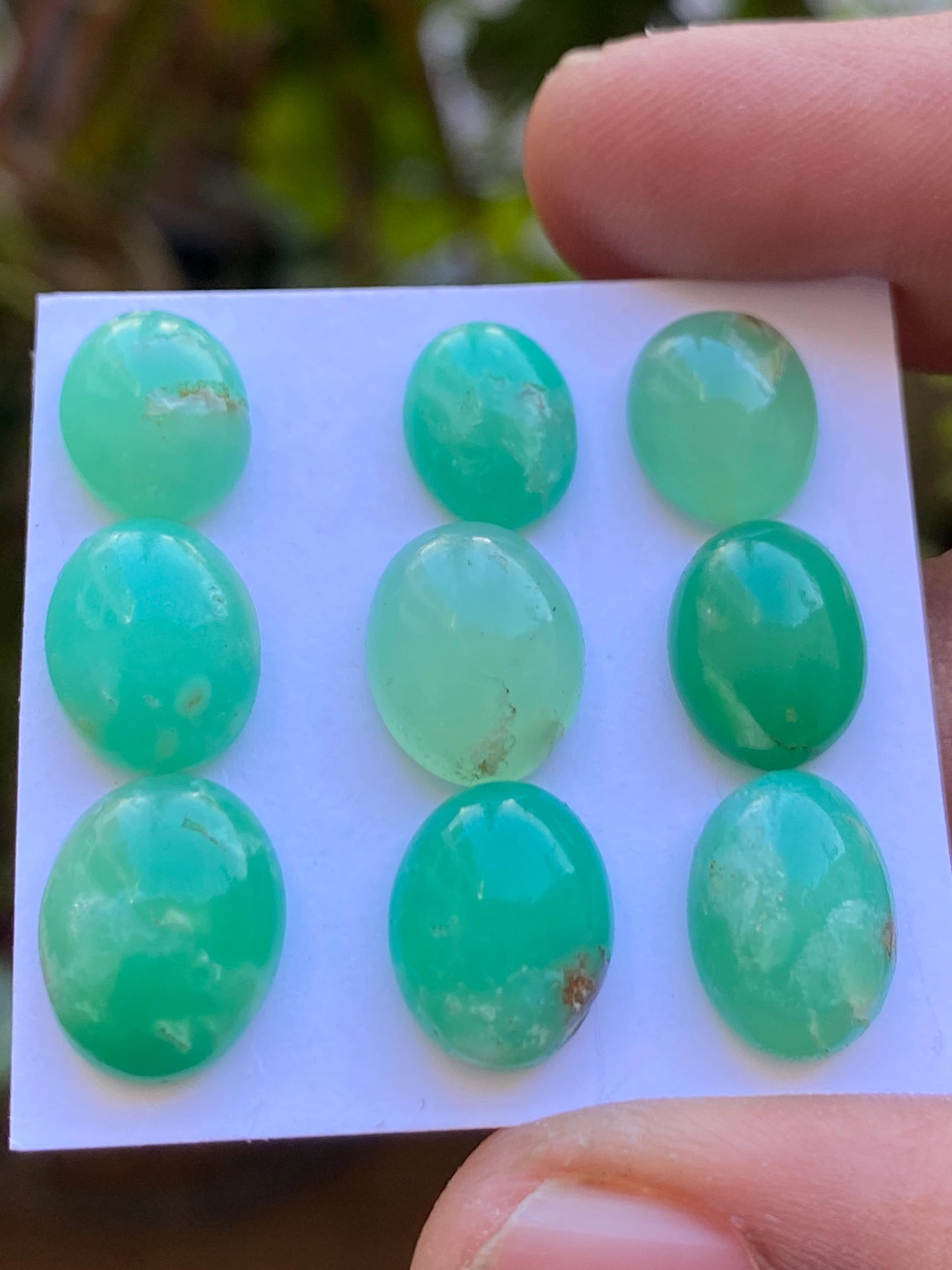 Rare stunning chrysoprase oval cabochons aaa fine quality pcs 9 weight 35 carats size 10.7x8.5mm-12.8x9.4mm chrysoprase rosecuts