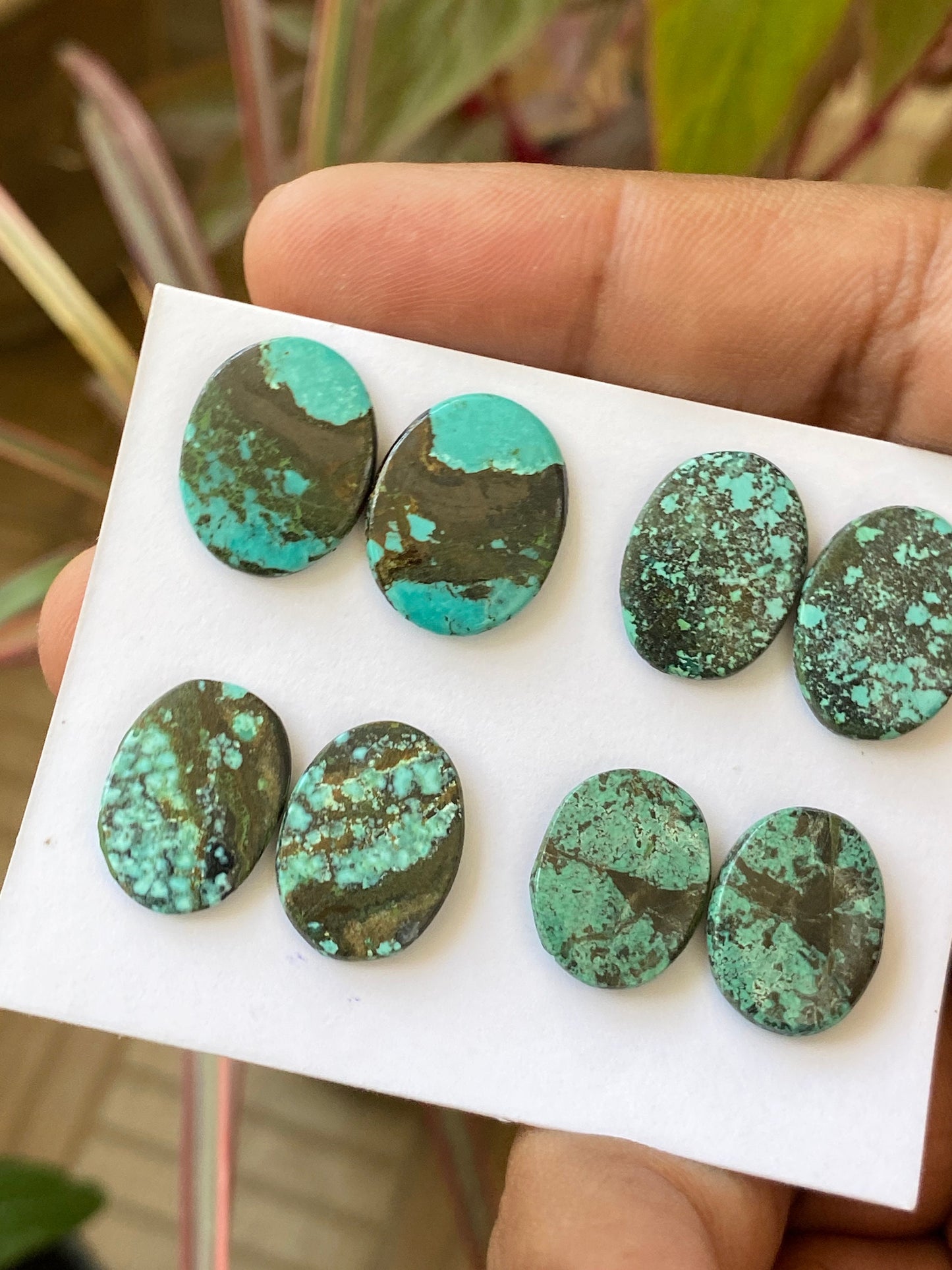 Rare Turquoise pair natural hubei mines rare pattern  smooth turquoise pcs 8 wt 39 carats size 12x14-15x12mm turquoise earrings supply