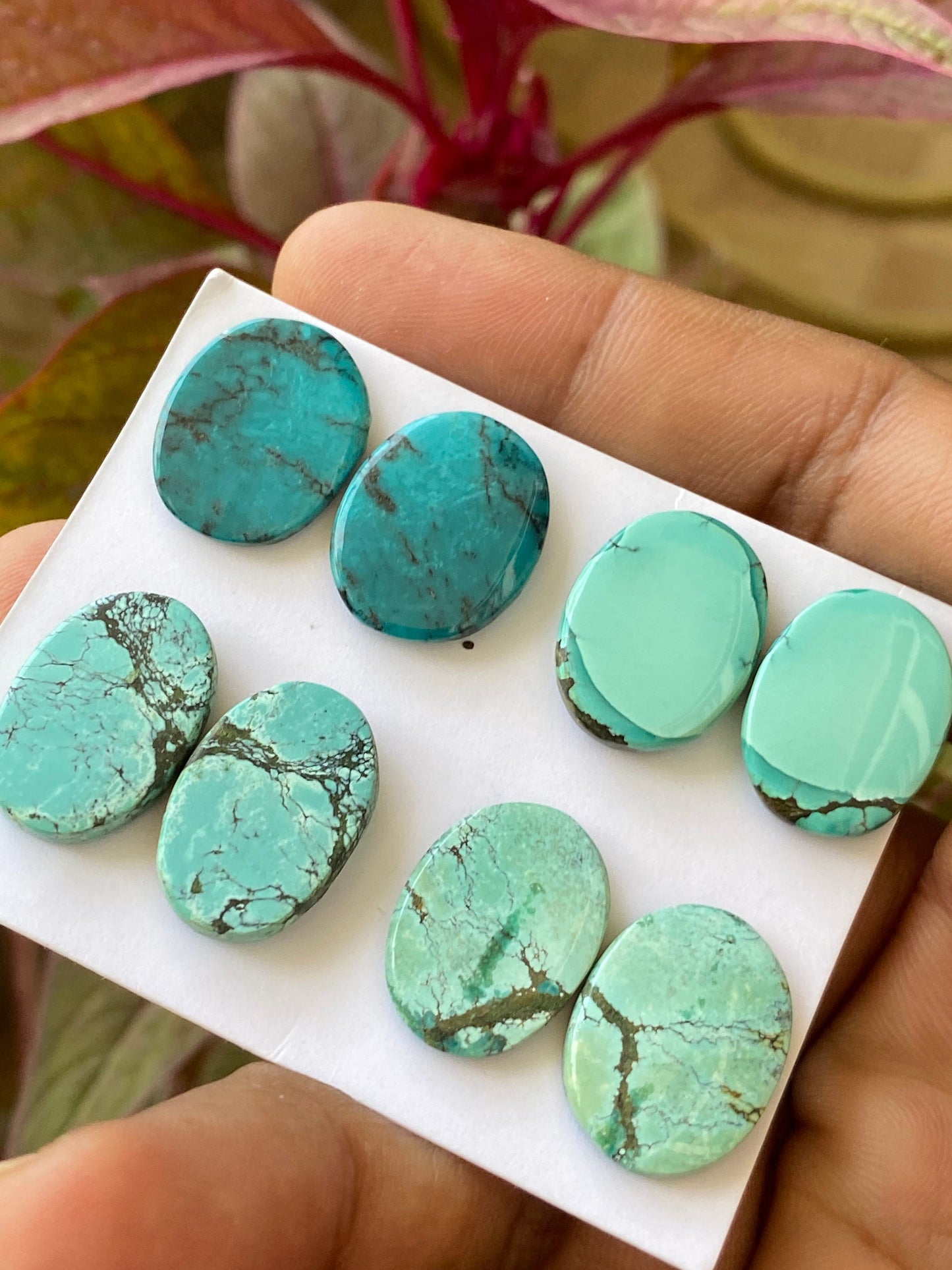 Rare Turquoise pair natural hubei mines rare pattern  smooth turquoise pcs 8 wt 73 carats size 18x14-19x13.5mm turquoise earrings supply