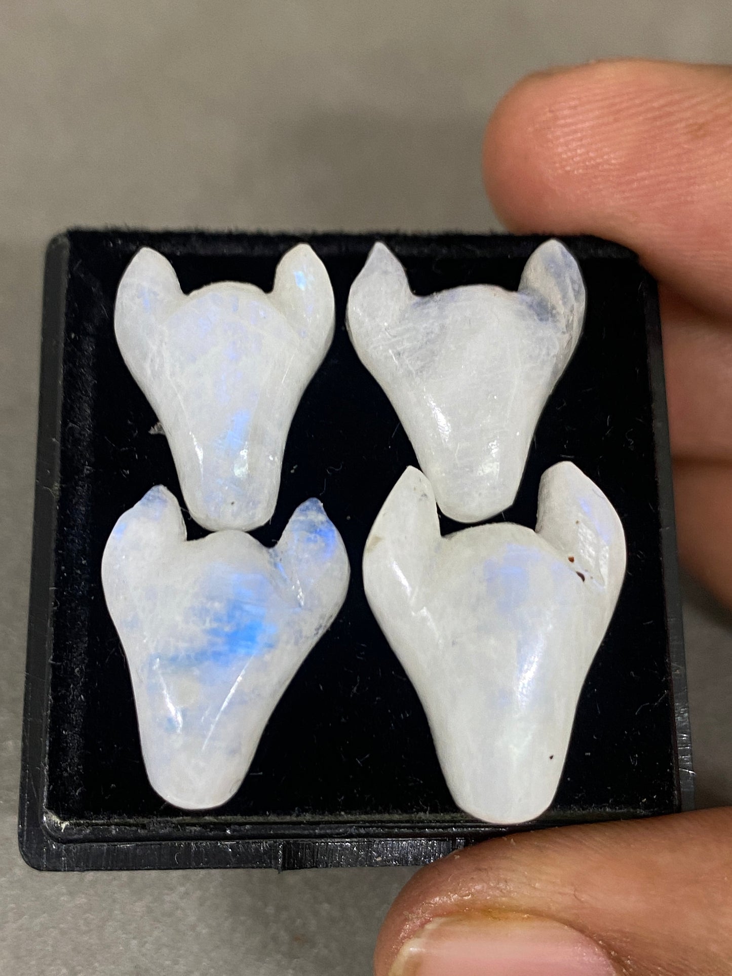 Fascinating rare white moonstone bull head carving  blue fire smooth polished carving pcs 4 wt 41 cts size 16x12-20x14mm moonstone bull head