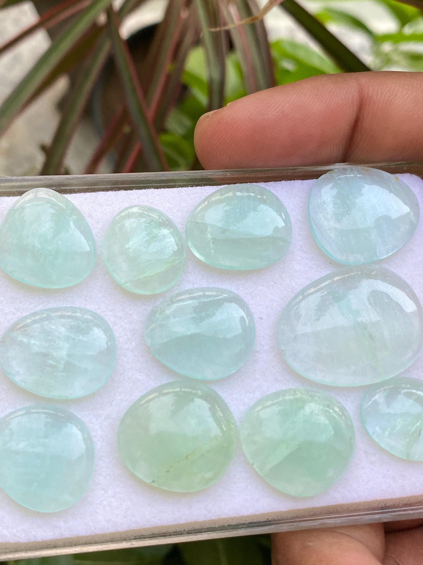 Mint Fluorite pairs smooth polished matched    sea  green size 15x13mm-25x19mm pcs 11 wt 104  cts fluorite  smooth polished cabochons