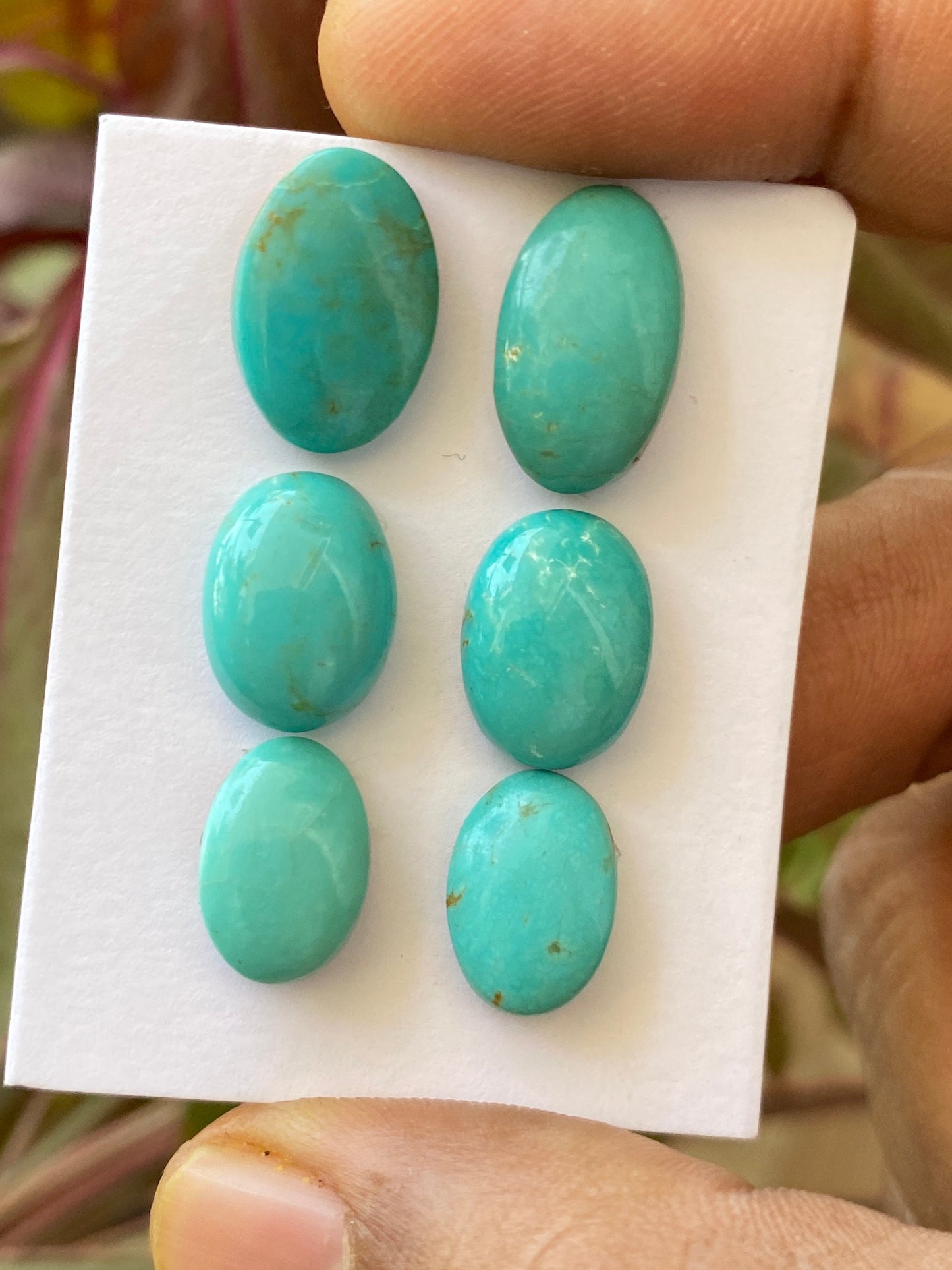 Nice rare Turquoise cabochons earrings natural Arizona mines smooth polished ovals pcs 6 wt 30 carats 13x9-15x10.5mm turquoise cabochon