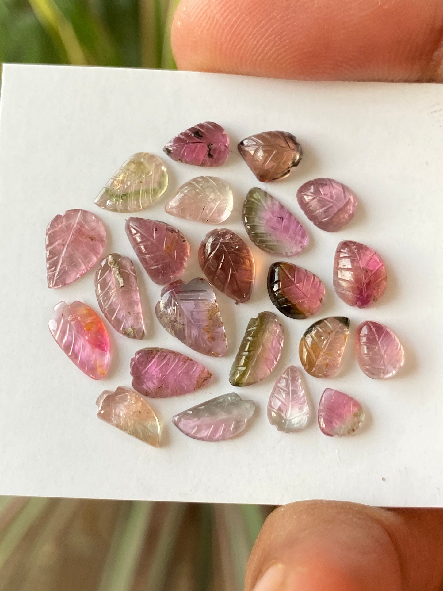 Fabulous Bicolor Watermelon tourmaline leaves carving  multi tourmaline carvings wt 15 carats pcs 22 size 5x4mm-9x6mm tourmaline leaves