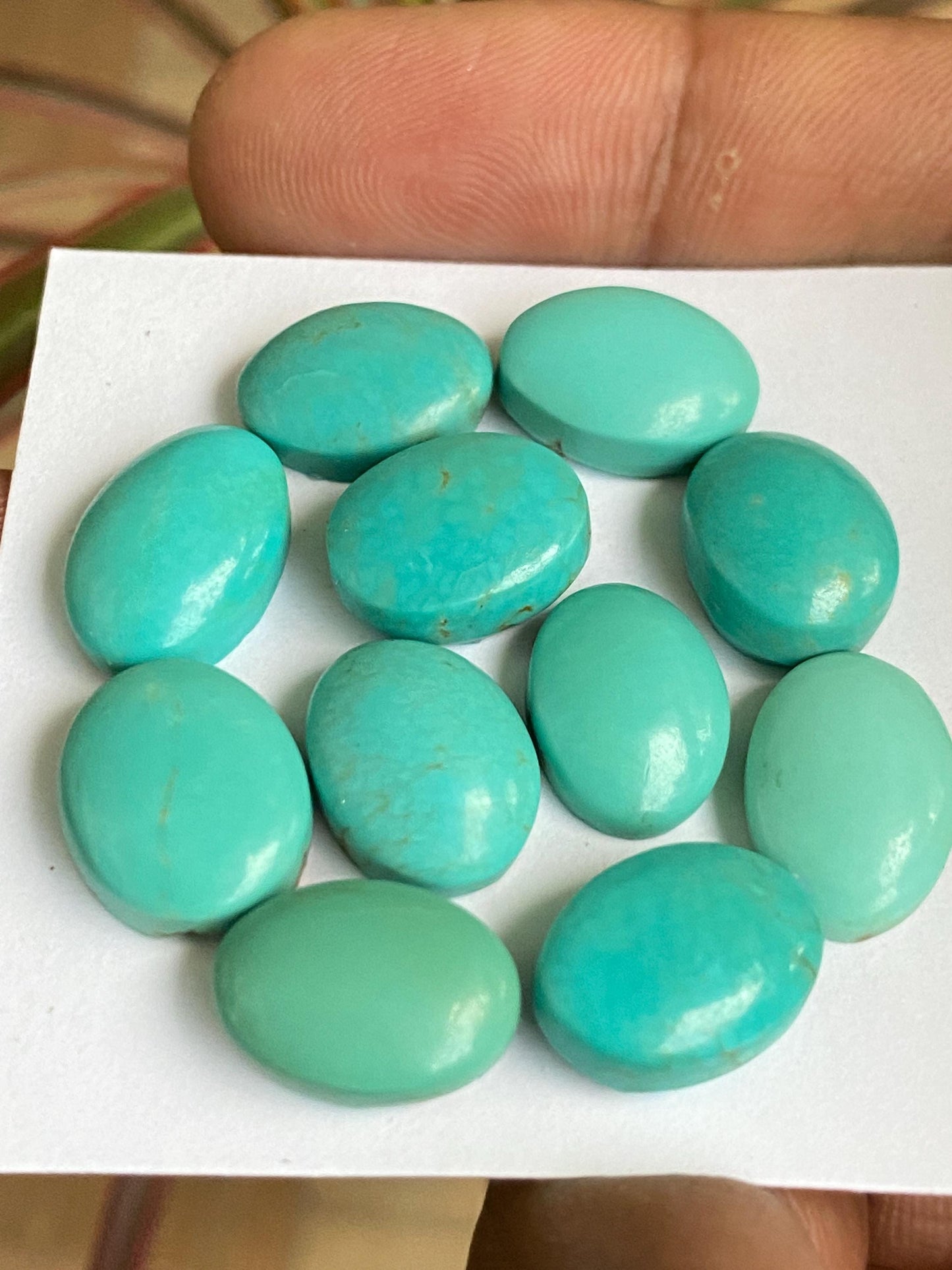 Mesmerising rare Arizona  mines Turquoise cabochons  natural smooth polished ovals pcs 11 wt 61 carats 13x10-15x10mm  turquoise cabochons