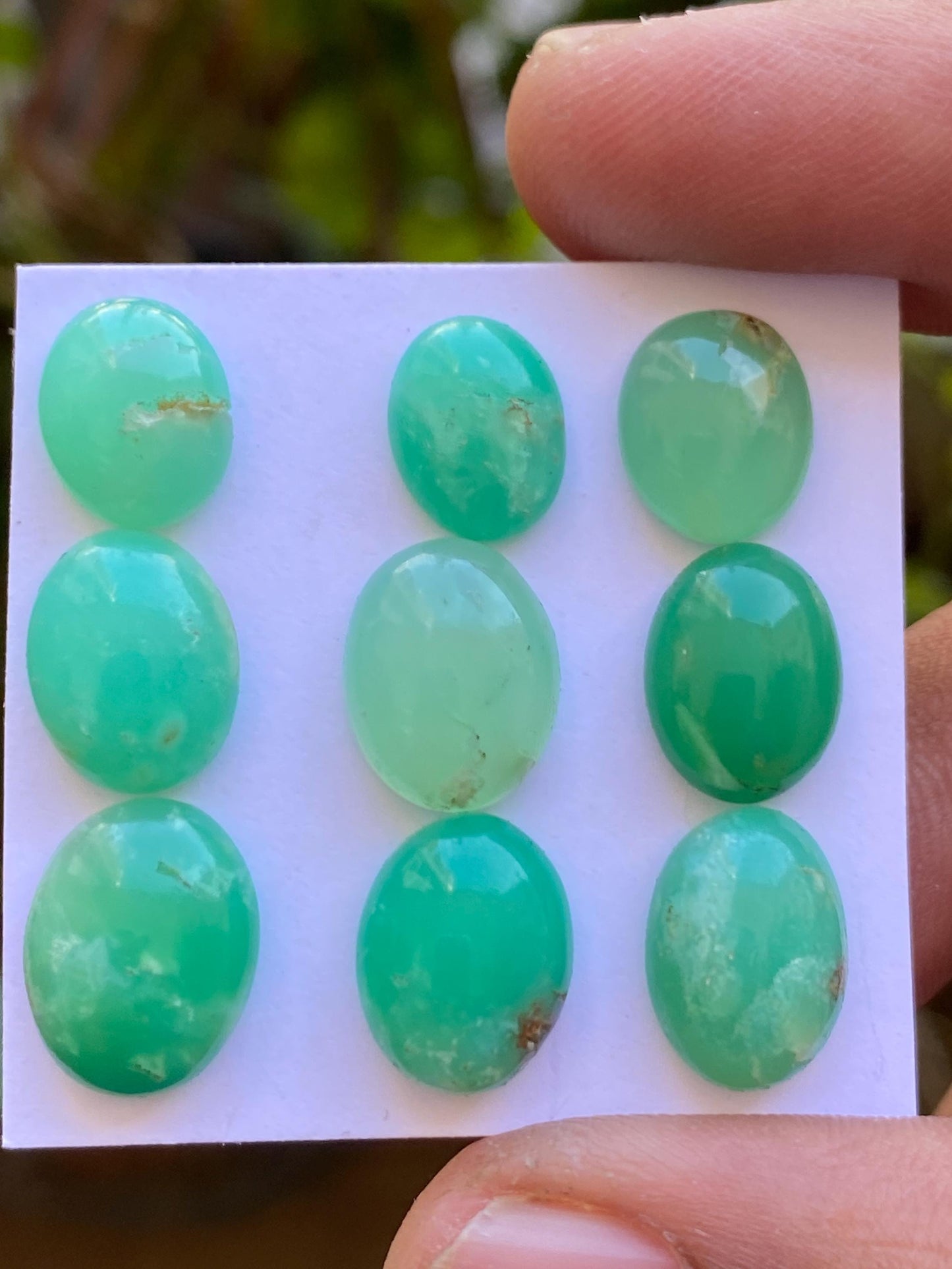 Rare stunning chrysoprase oval cabochons aaa fine quality pcs 9 weight 35 carats size 10.7x8.5mm-12.8x9.4mm chrysoprase rosecuts