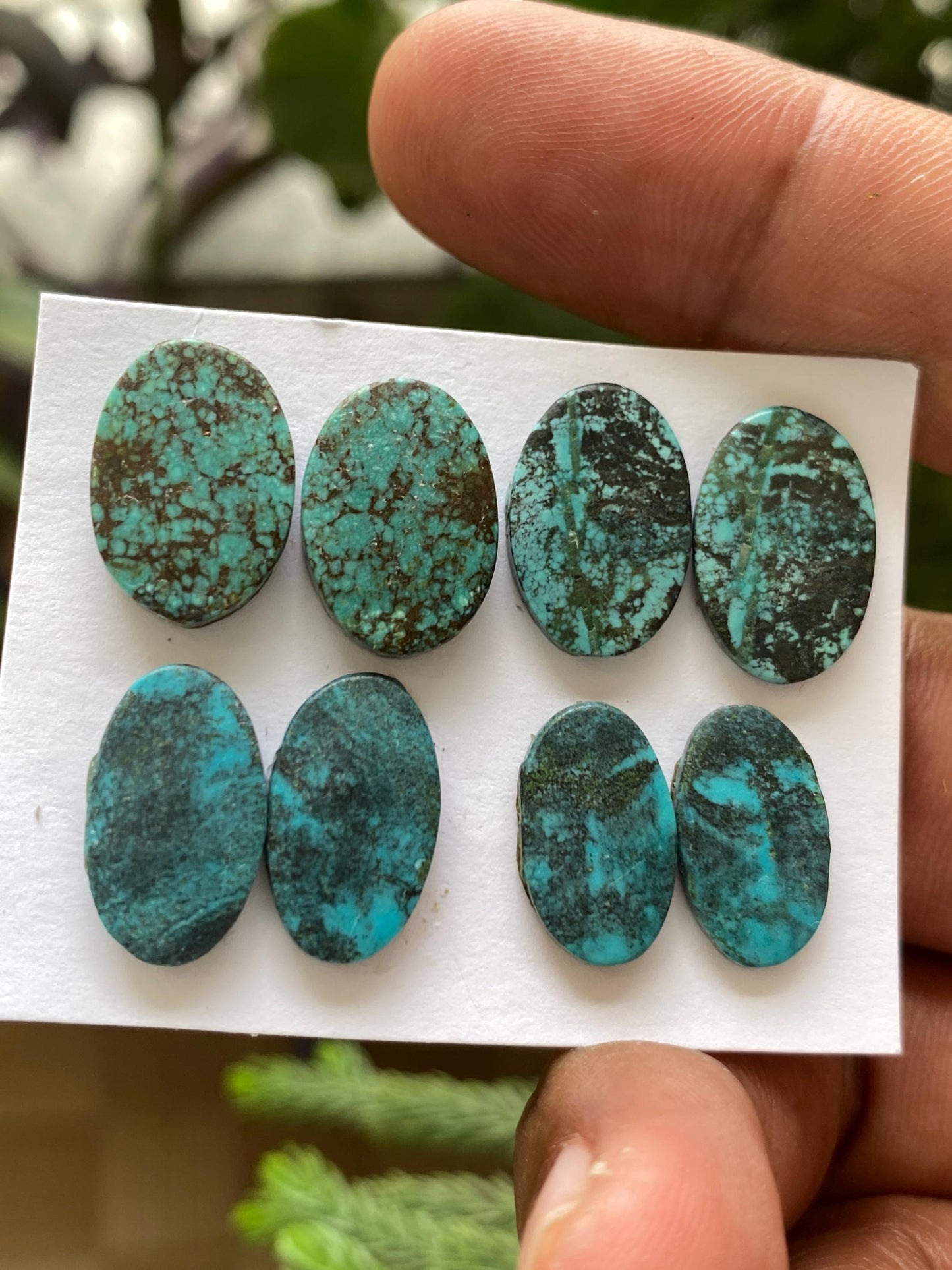 Amazing Turquoise pair natural hubei mines  pattern smooth turquoise pcs 8 wt 37.20 carats good size turquoise earrings supply