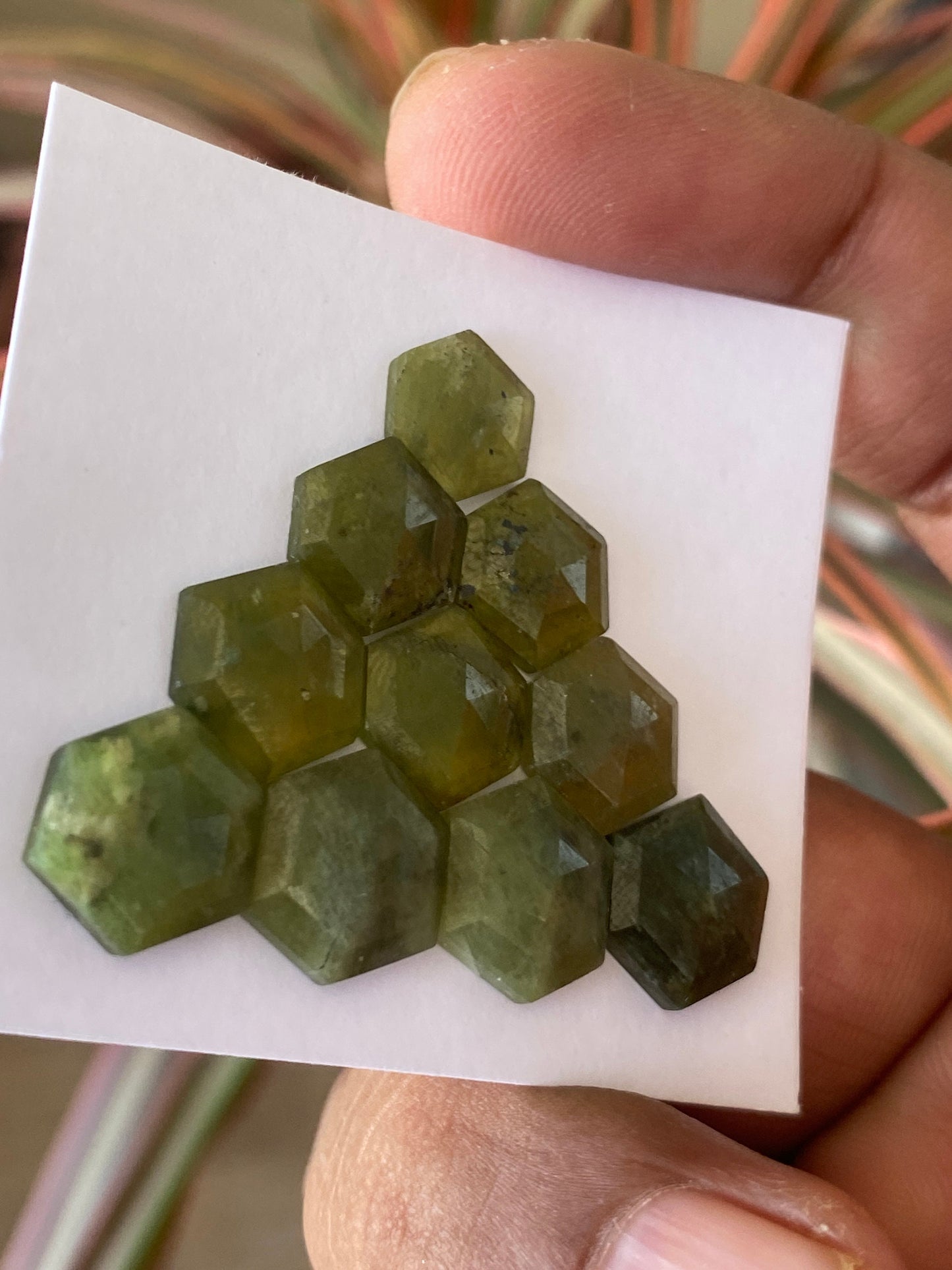 Lovely  vesuvianite hexagon stepcut wholesale lot weight 39 carats pcs 10 size 10mm-12mm flatback gems